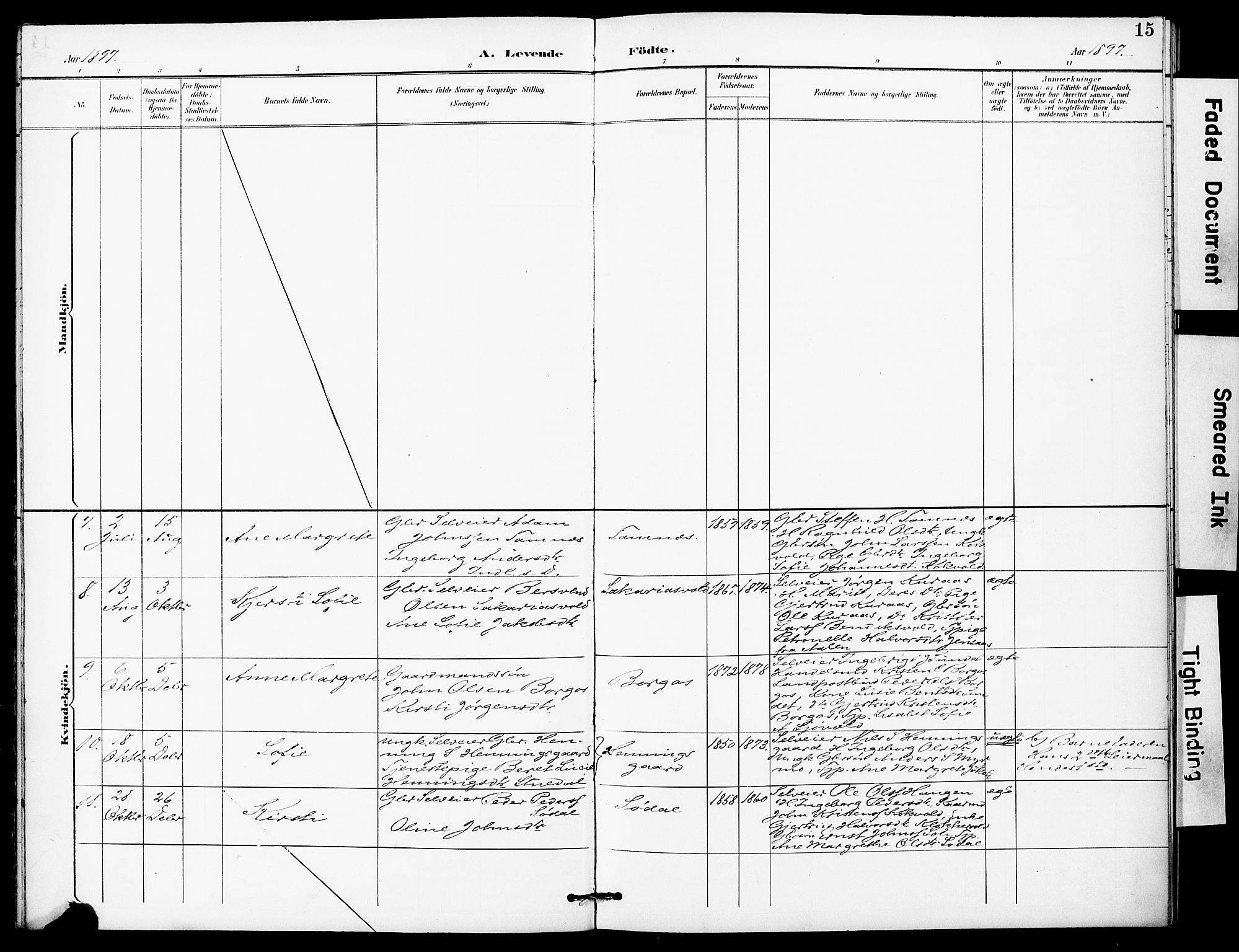 Ministerialprotokoller, klokkerbøker og fødselsregistre - Sør-Trøndelag, SAT/A-1456/683/L0948: Parish register (official) no. 683A01, 1891-1902, p. 15