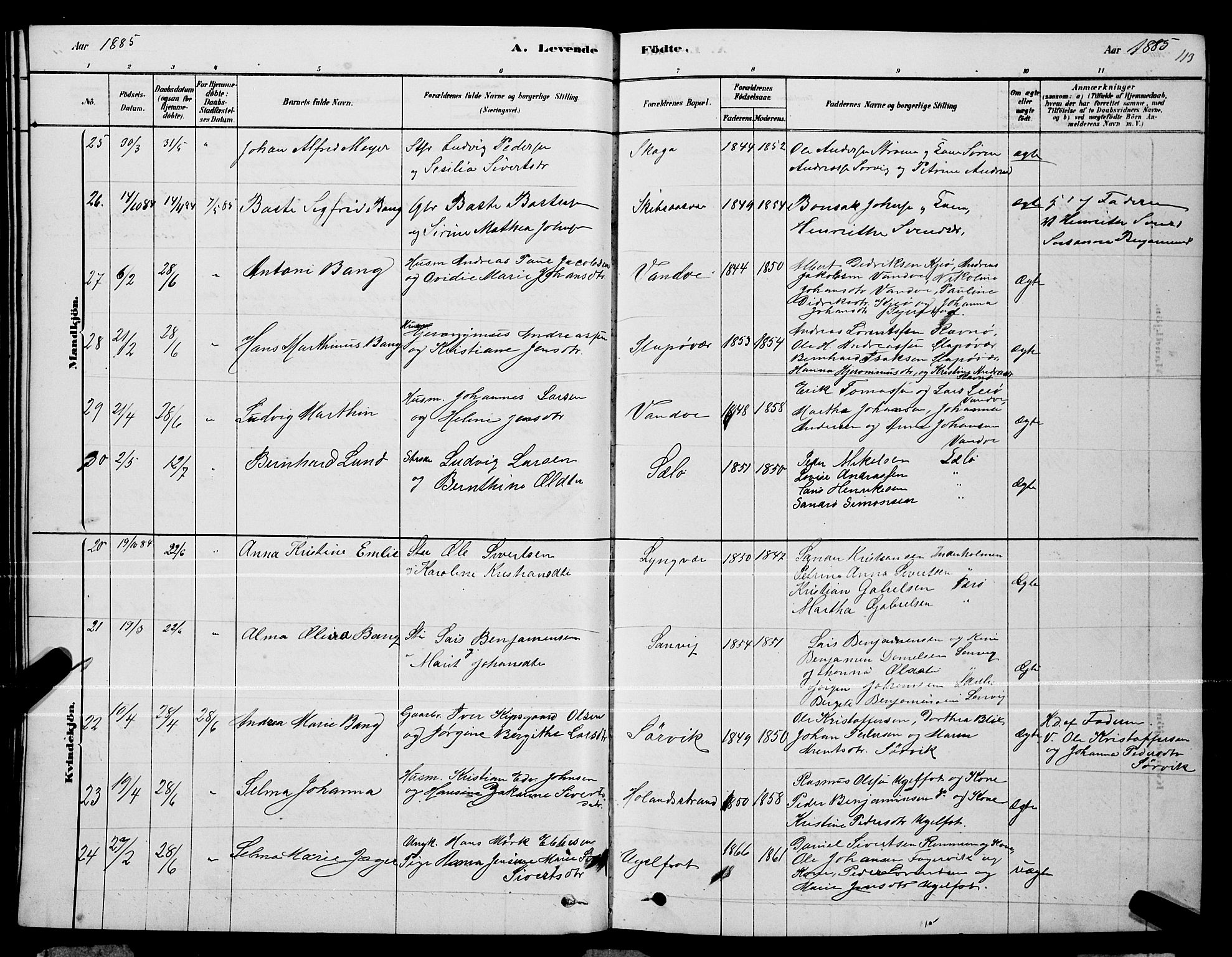 Ministerialprotokoller, klokkerbøker og fødselsregistre - Nordland, AV/SAT-A-1459/834/L0513: Parish register (copy) no. 834C04, 1877-1892, p. 113