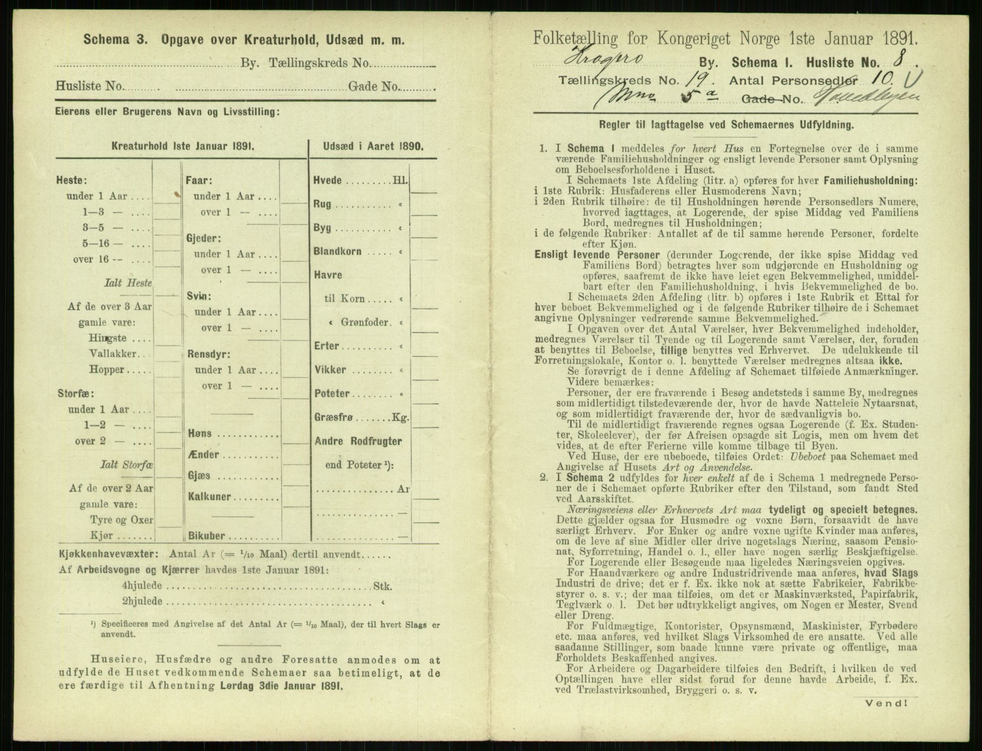 RA, 1891 census for 0801 Kragerø, 1891, p. 810