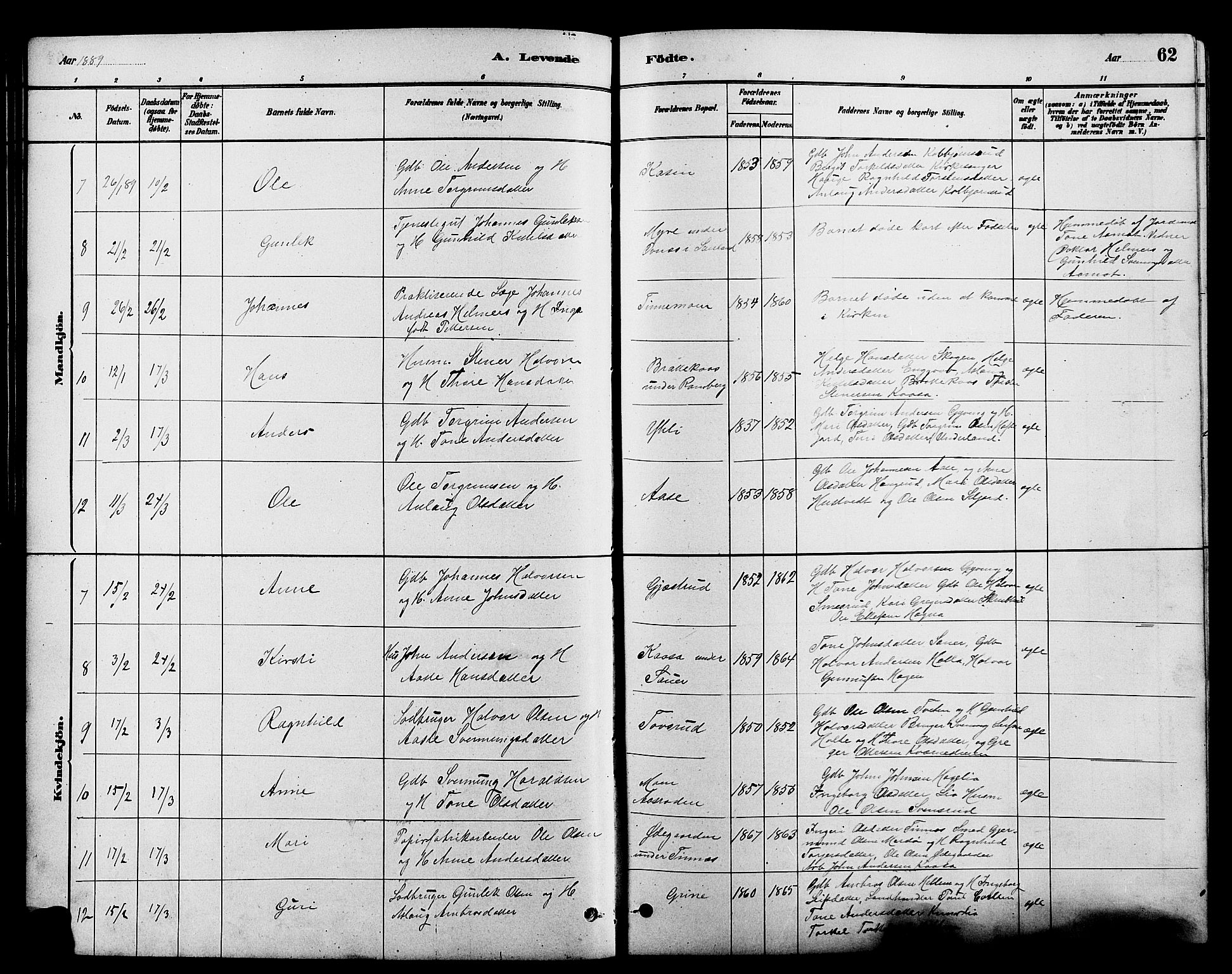 Heddal kirkebøker, AV/SAKO-A-268/G/Ga/L0002: Parish register (copy) no. I 2, 1879-1908, p. 62