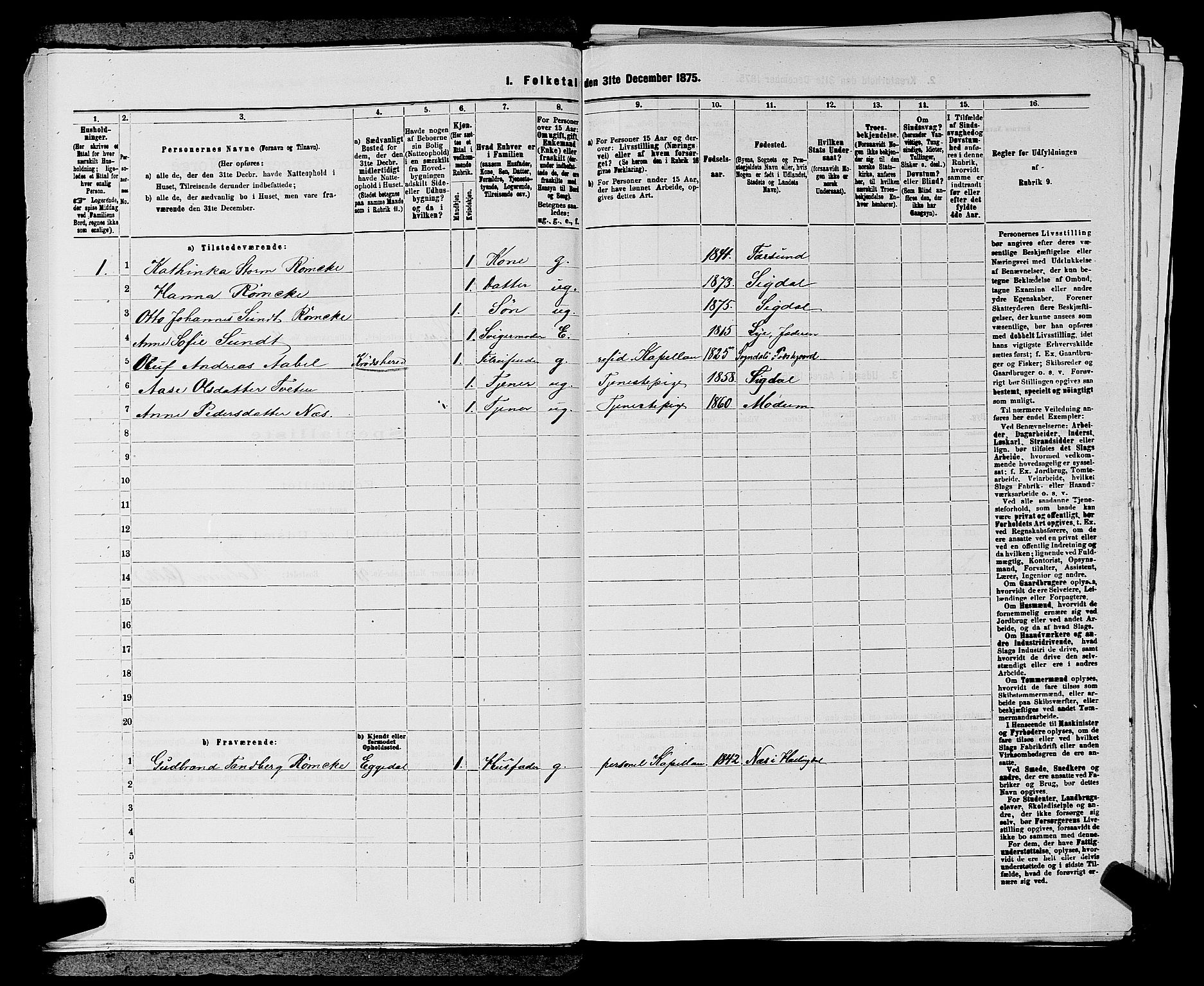 SAKO, 1875 census for 0621P Sigdal, 1875, p. 595