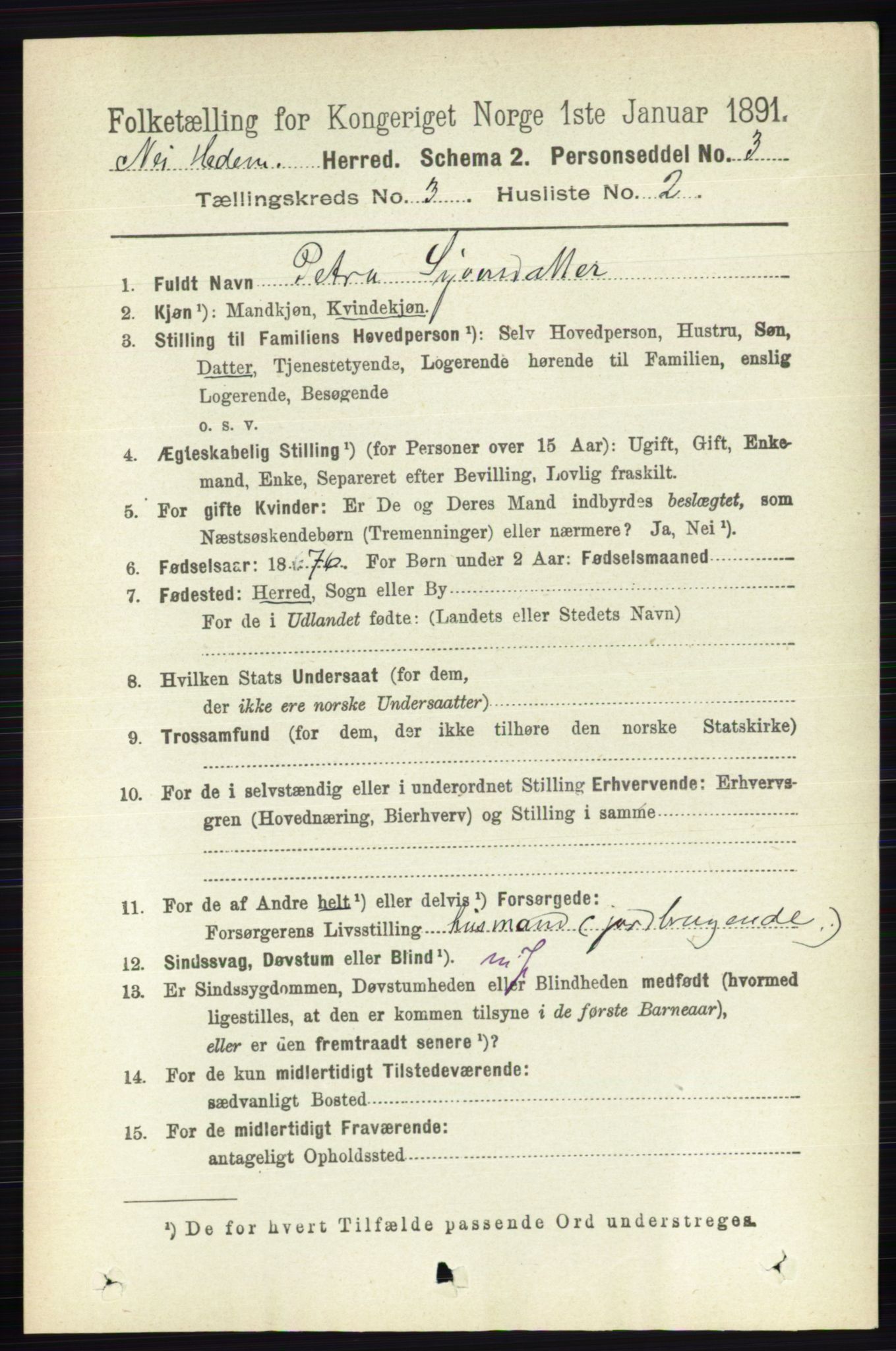 RA, 1891 census for 0411 Nes, 1891, p. 1602