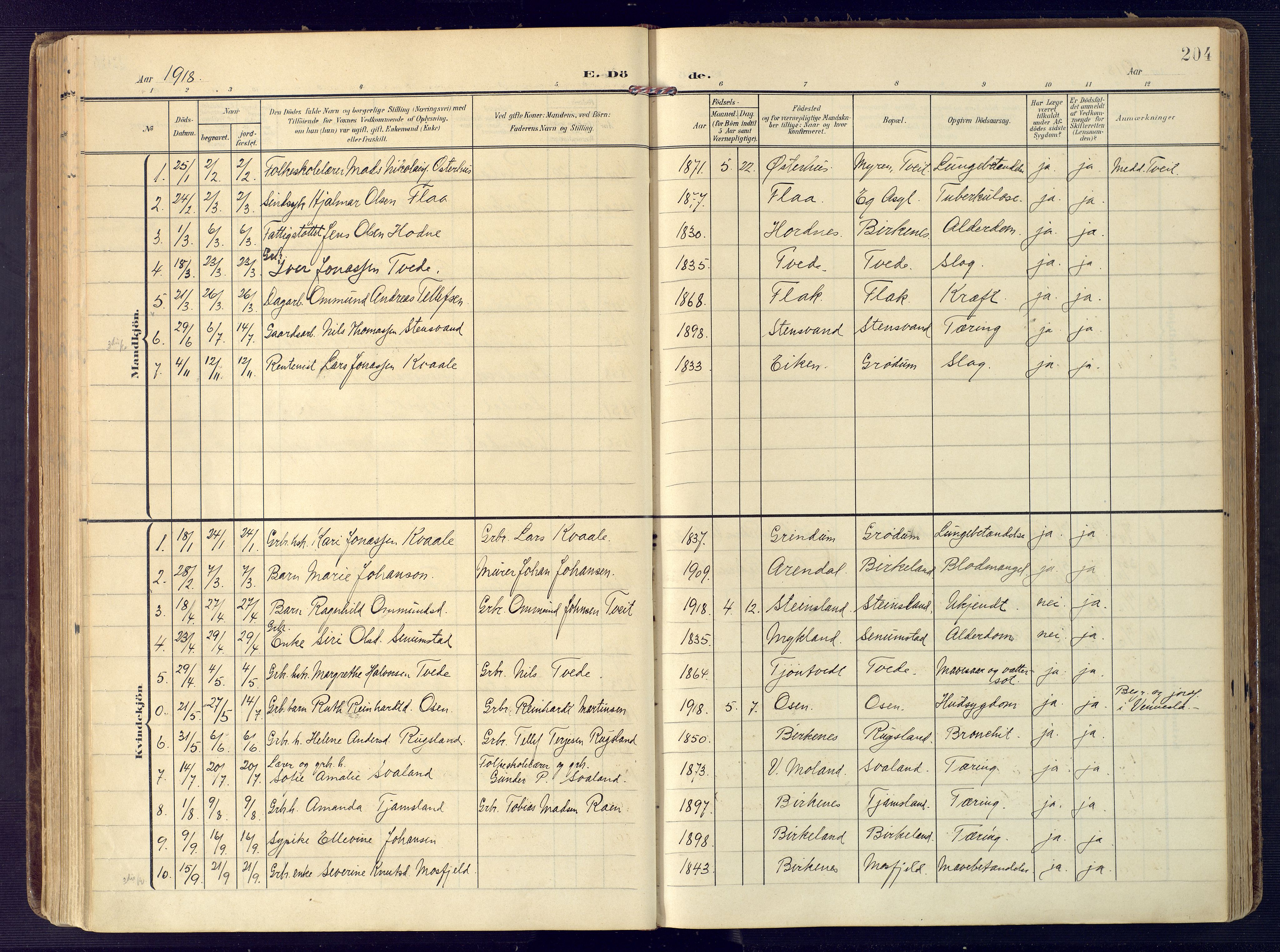 Birkenes sokneprestkontor, SAK/1111-0004/F/Fa/L0006: Parish register (official) no. A 6, 1908-1932, p. 204