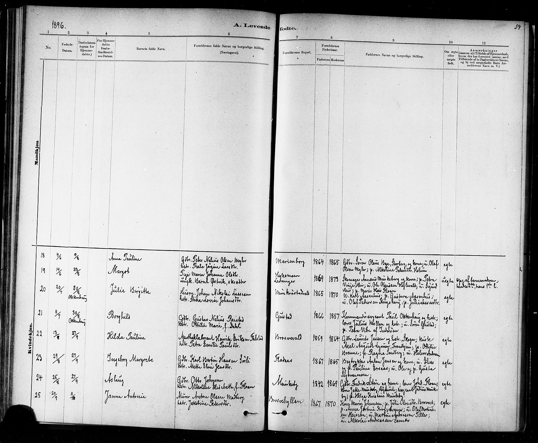 Ministerialprotokoller, klokkerbøker og fødselsregistre - Nord-Trøndelag, AV/SAT-A-1458/721/L0208: Parish register (copy) no. 721C01, 1880-1917, p. 54