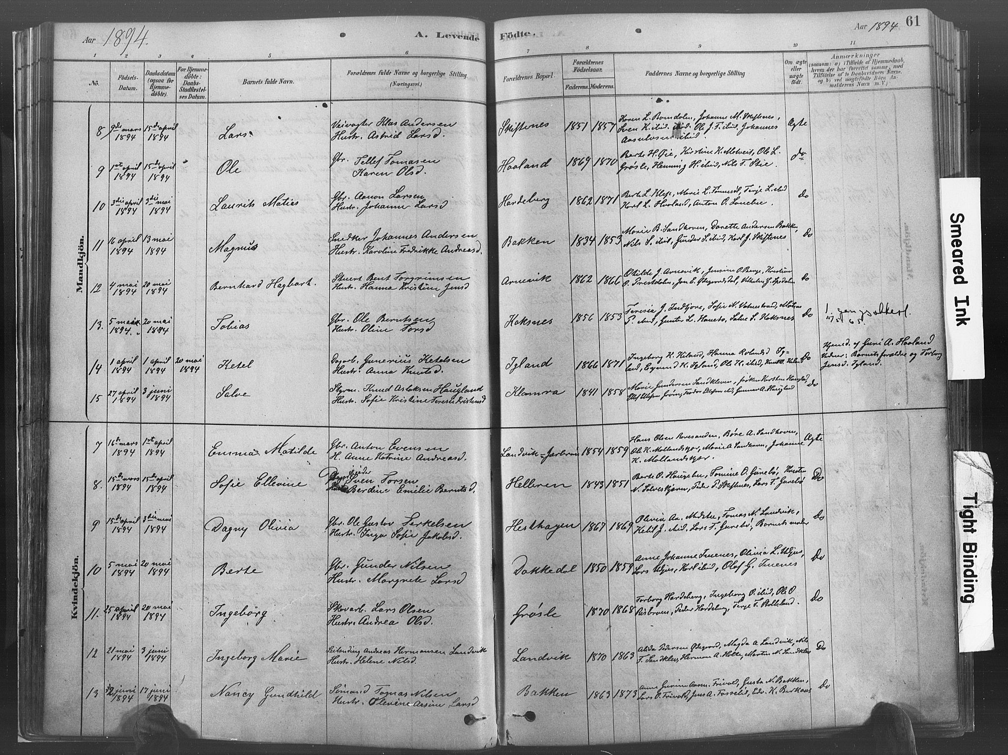 Hommedal sokneprestkontor, SAK/1111-0023/F/Fa/Fab/L0006: Parish register (official) no. A 6, 1878-1897, p. 61