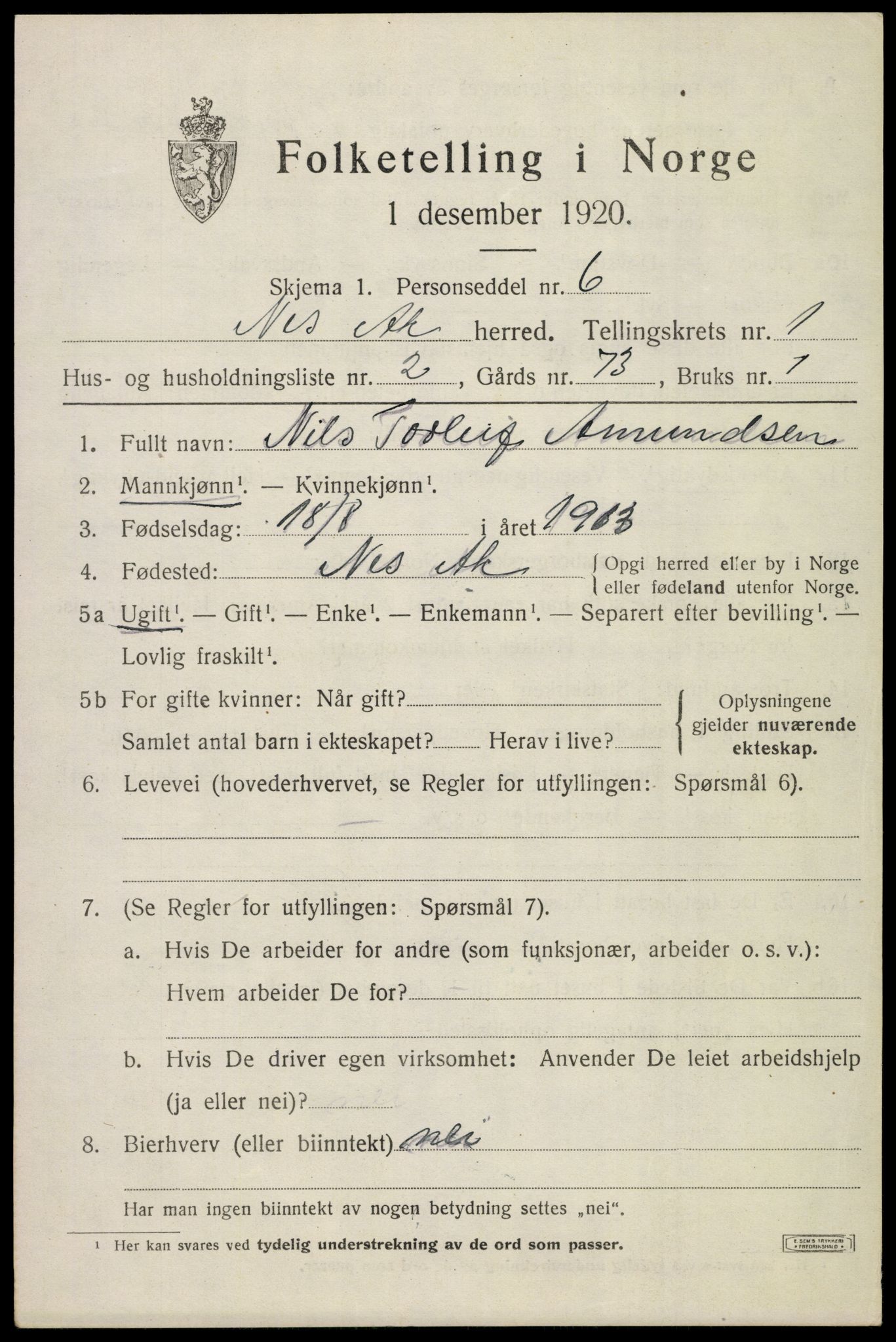 SAO, 1920 census for Nes, 1920, p. 3406