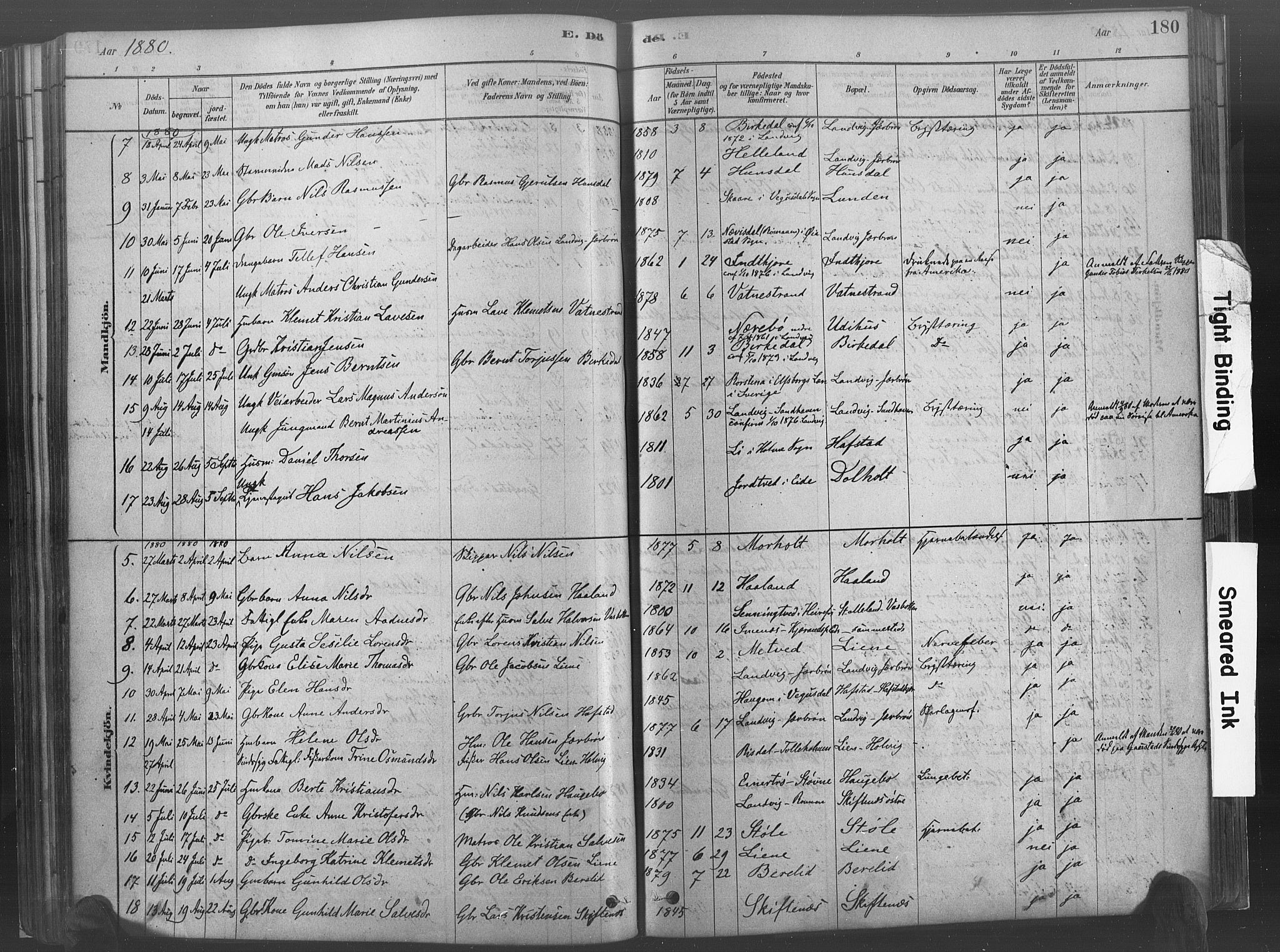 Hommedal sokneprestkontor, AV/SAK-1111-0023/F/Fa/Fab/L0006: Parish register (official) no. A 6, 1878-1897, p. 180