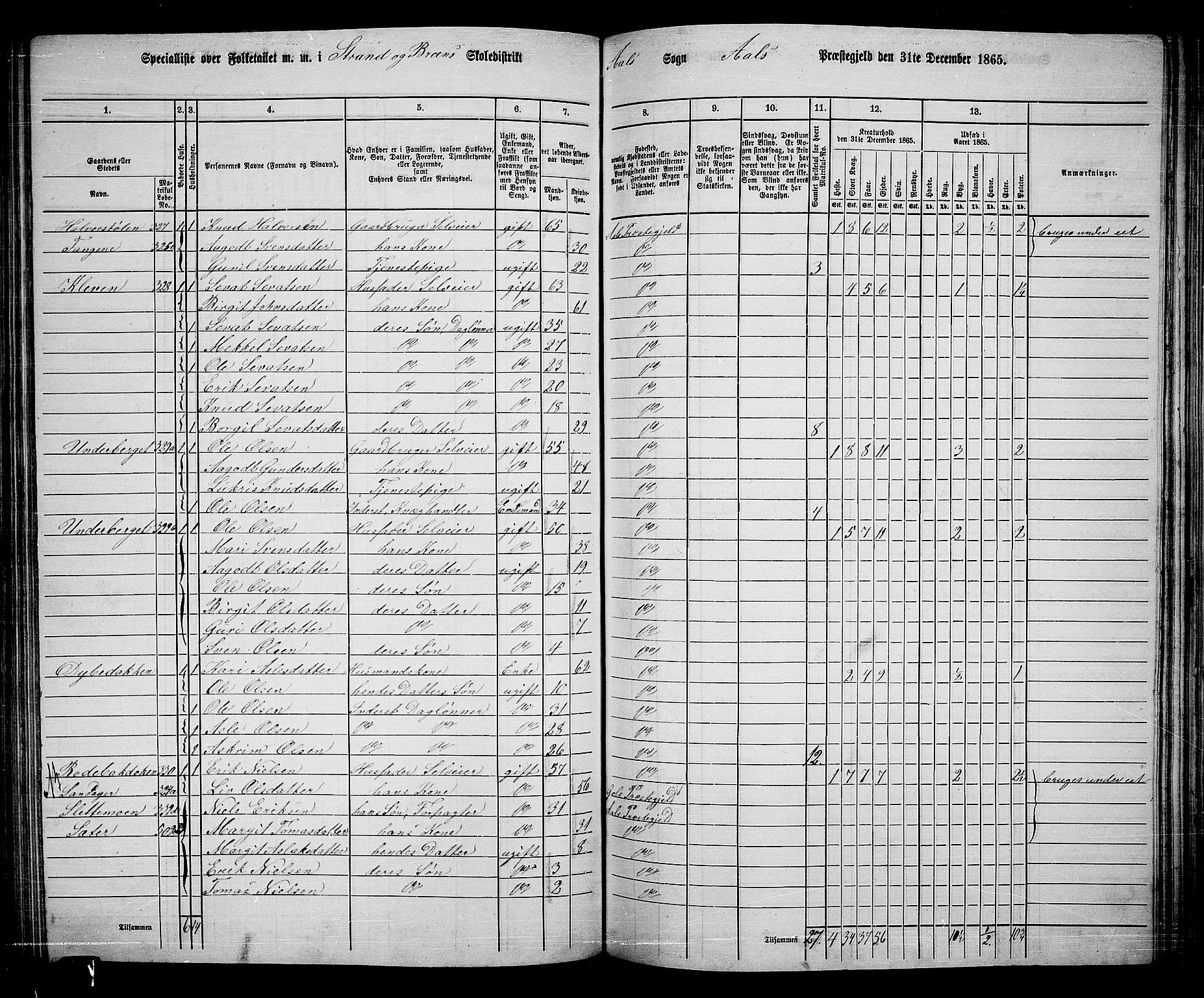 RA, 1865 census for Ål, 1865, p. 163