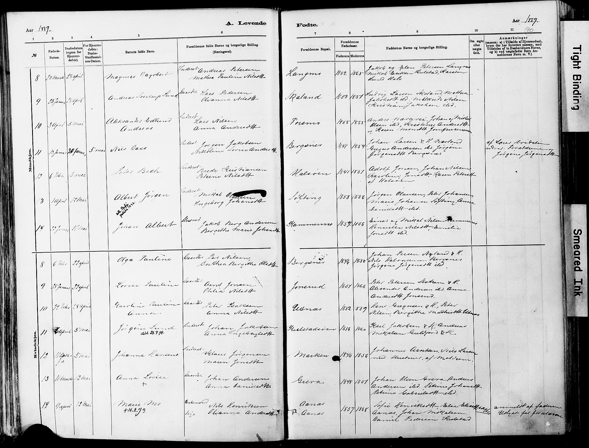 Ministerialprotokoller, klokkerbøker og fødselsregistre - Nordland, SAT/A-1459/820/L0295: Parish register (official) no. 820A16, 1880-1896, p. 80
