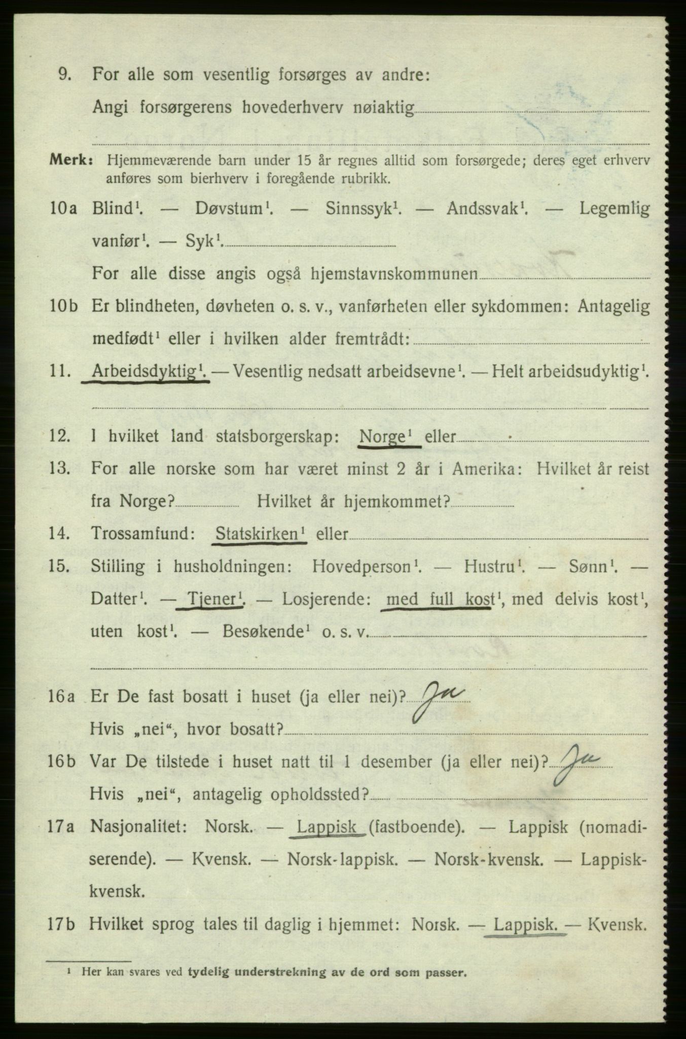 SATØ, 1920 census for , 1920, p. 1991