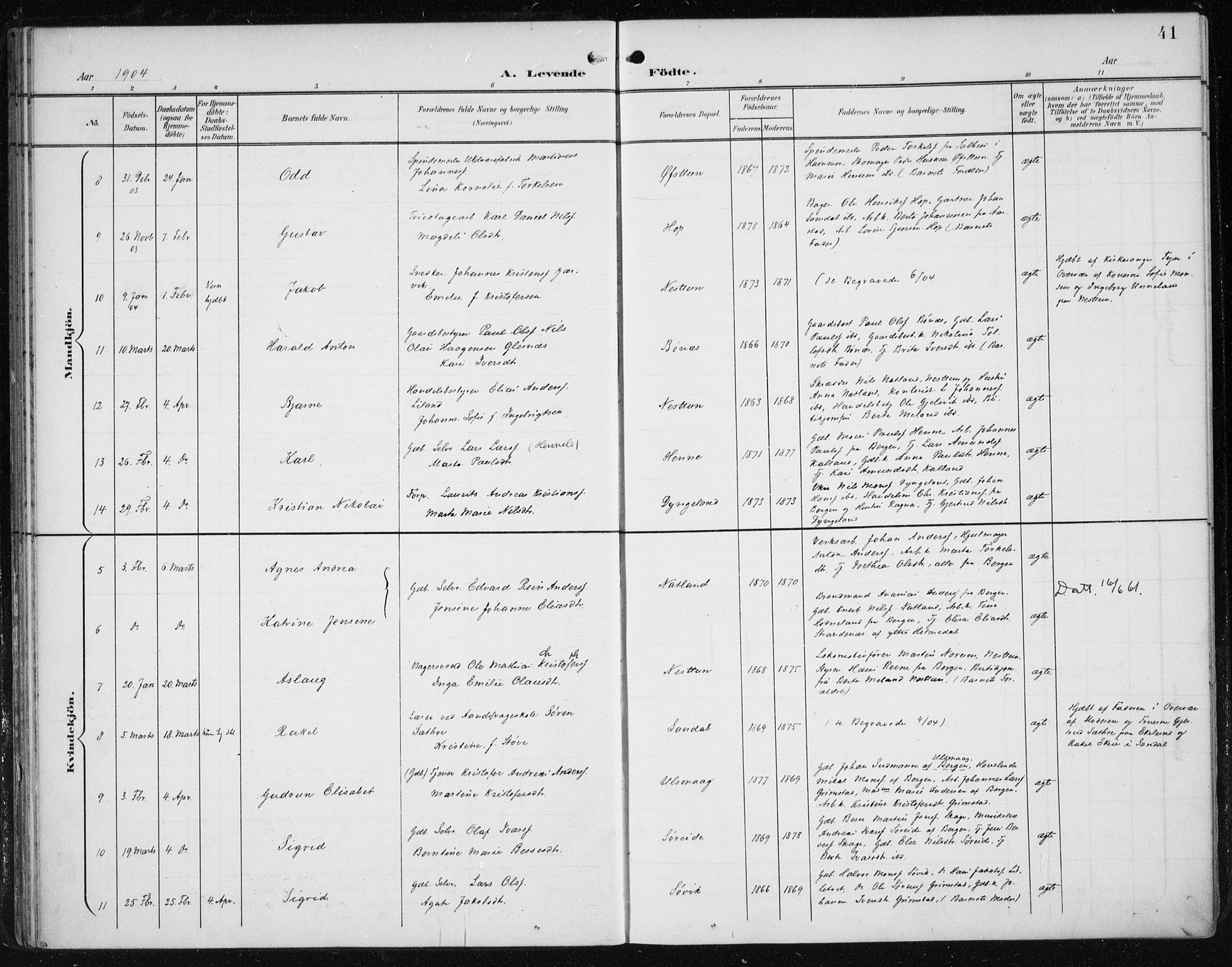 Fana Sokneprestembete, AV/SAB-A-75101/H/Haa/Haai/L0003: Parish register (official) no. I 3, 1900-1912, p. 41