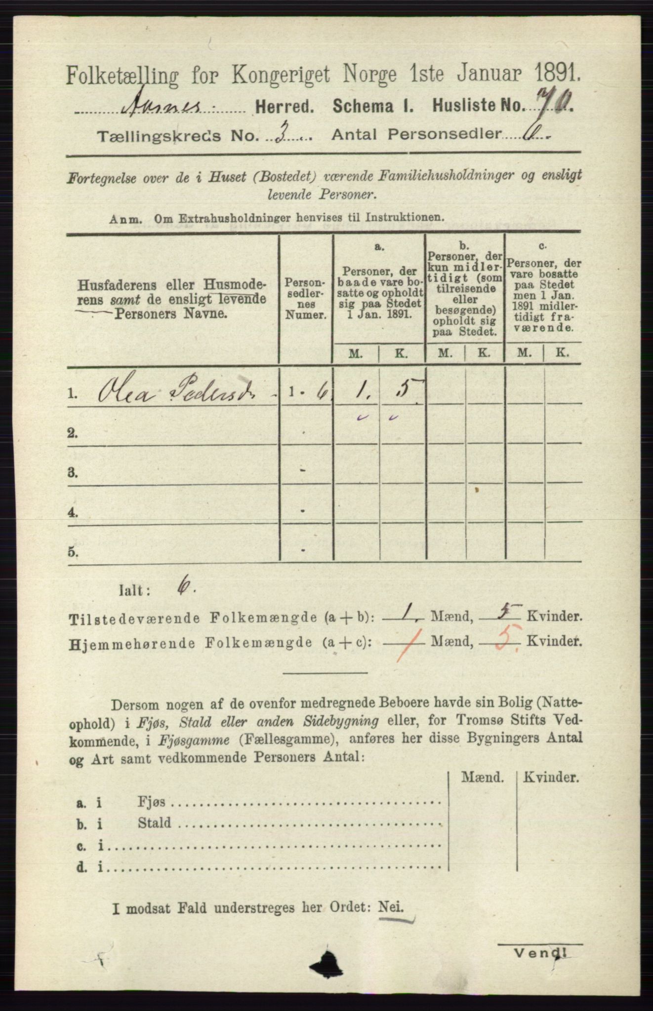 RA, 1891 census for 0425 Åsnes, 1891, p. 1022