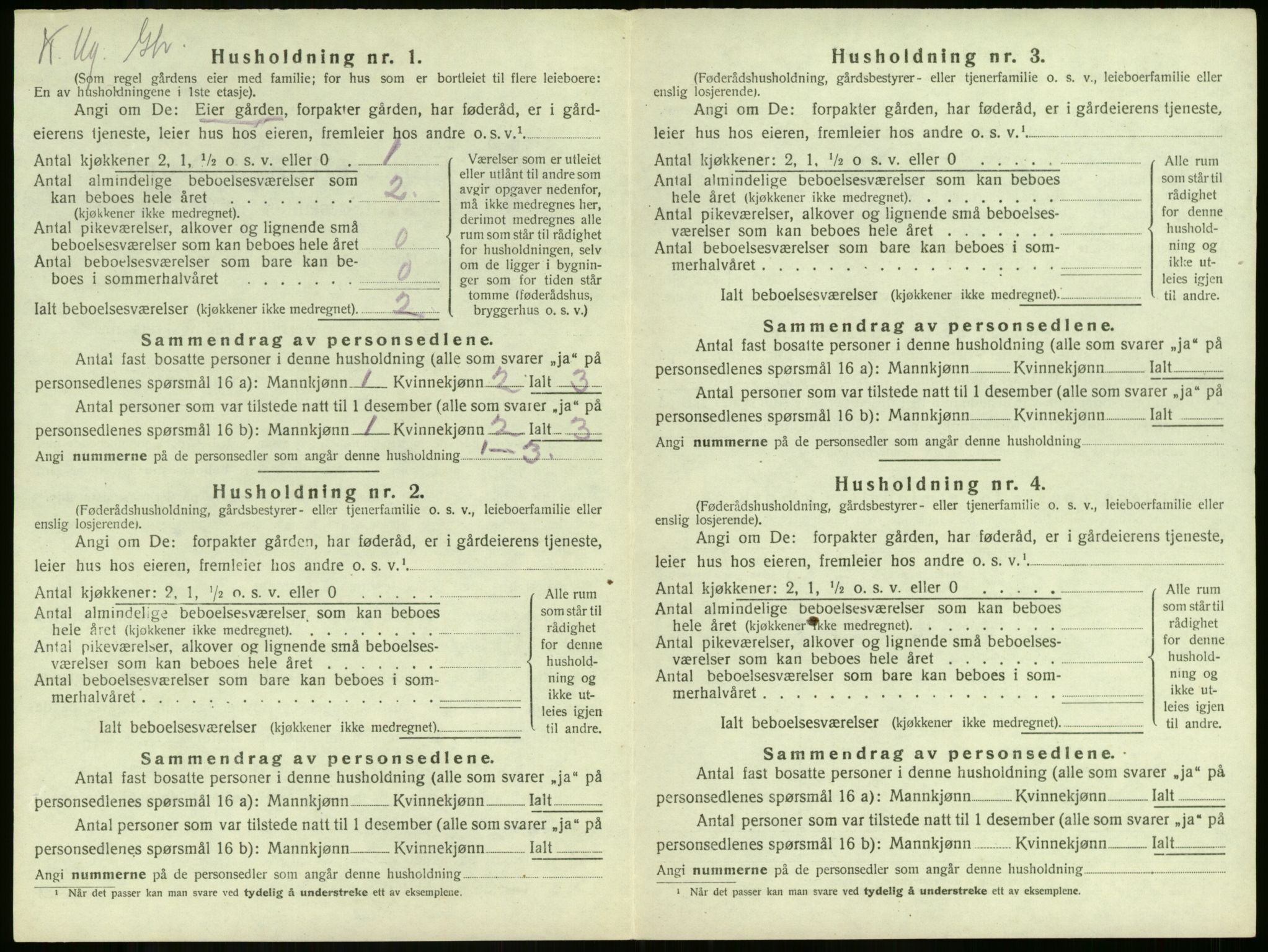 SAKO, 1920 census for Ramnes, 1920, p. 175