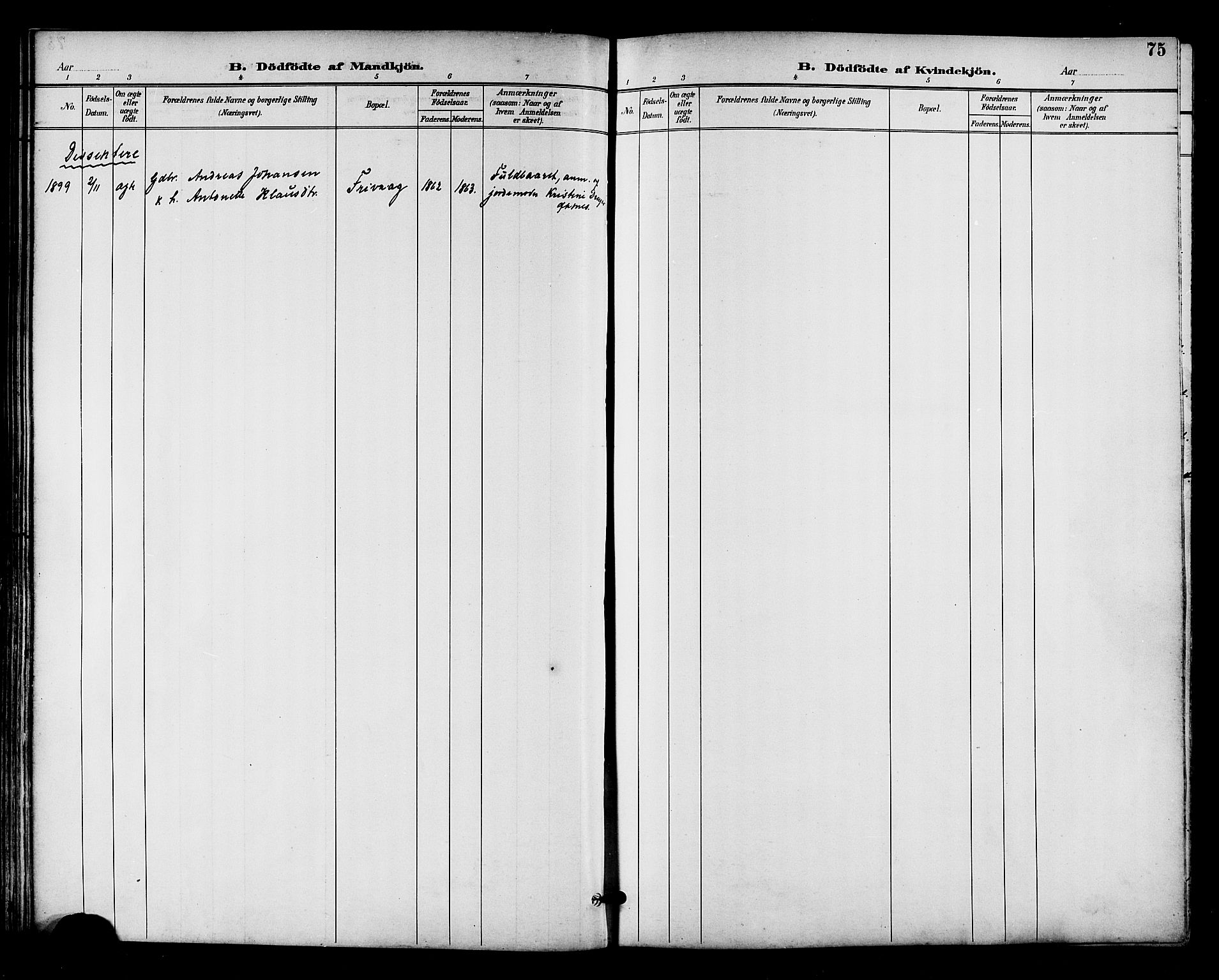 Ministerialprotokoller, klokkerbøker og fødselsregistre - Nordland, AV/SAT-A-1459/893/L1338: Parish register (official) no. 893A10, 1894-1903, p. 75