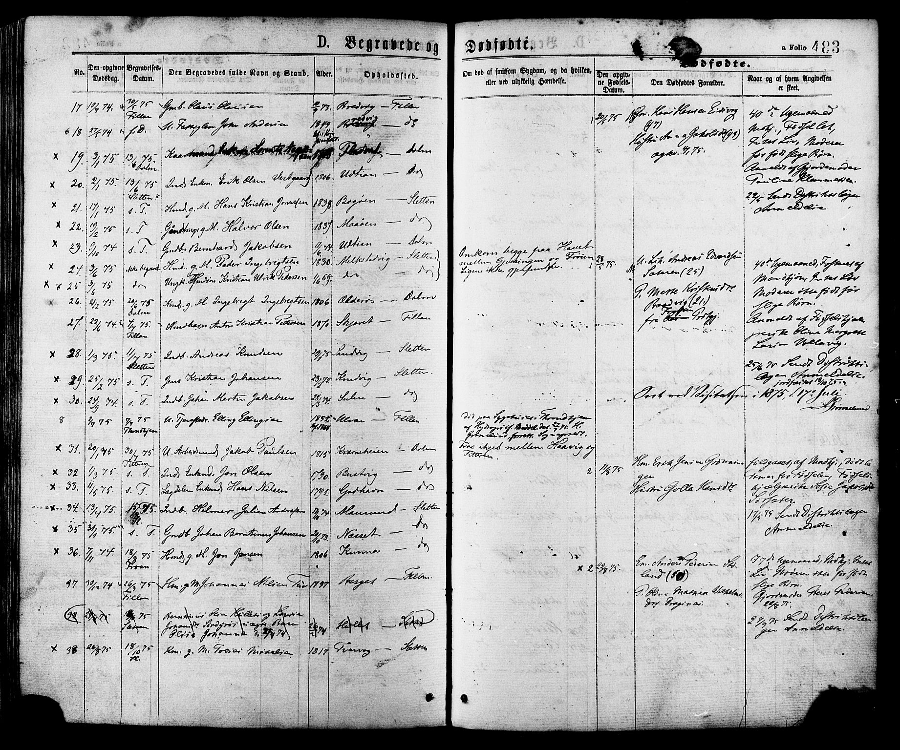 Ministerialprotokoller, klokkerbøker og fødselsregistre - Sør-Trøndelag, AV/SAT-A-1456/634/L0532: Parish register (official) no. 634A08, 1871-1881, p. 483