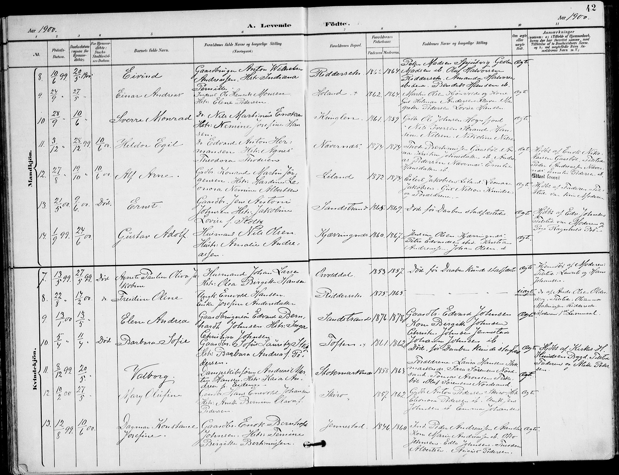 Ministerialprotokoller, klokkerbøker og fødselsregistre - Nordland, SAT/A-1459/895/L1372: Parish register (official) no. 895A07, 1894-1914, p. 42