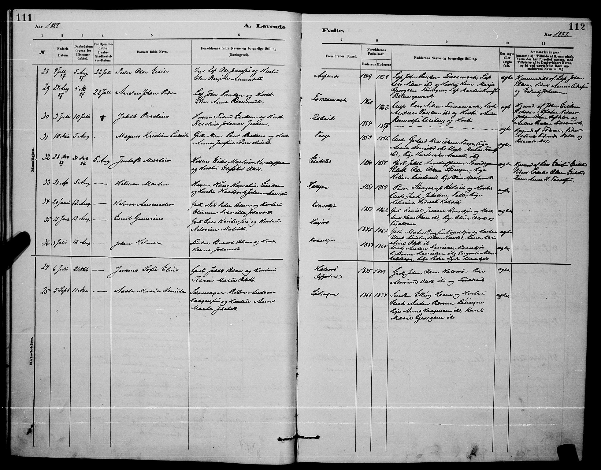 Ministerialprotokoller, klokkerbøker og fødselsregistre - Nordland, AV/SAT-A-1459/872/L1047: Parish register (copy) no. 872C03, 1880-1897, p. 111-112