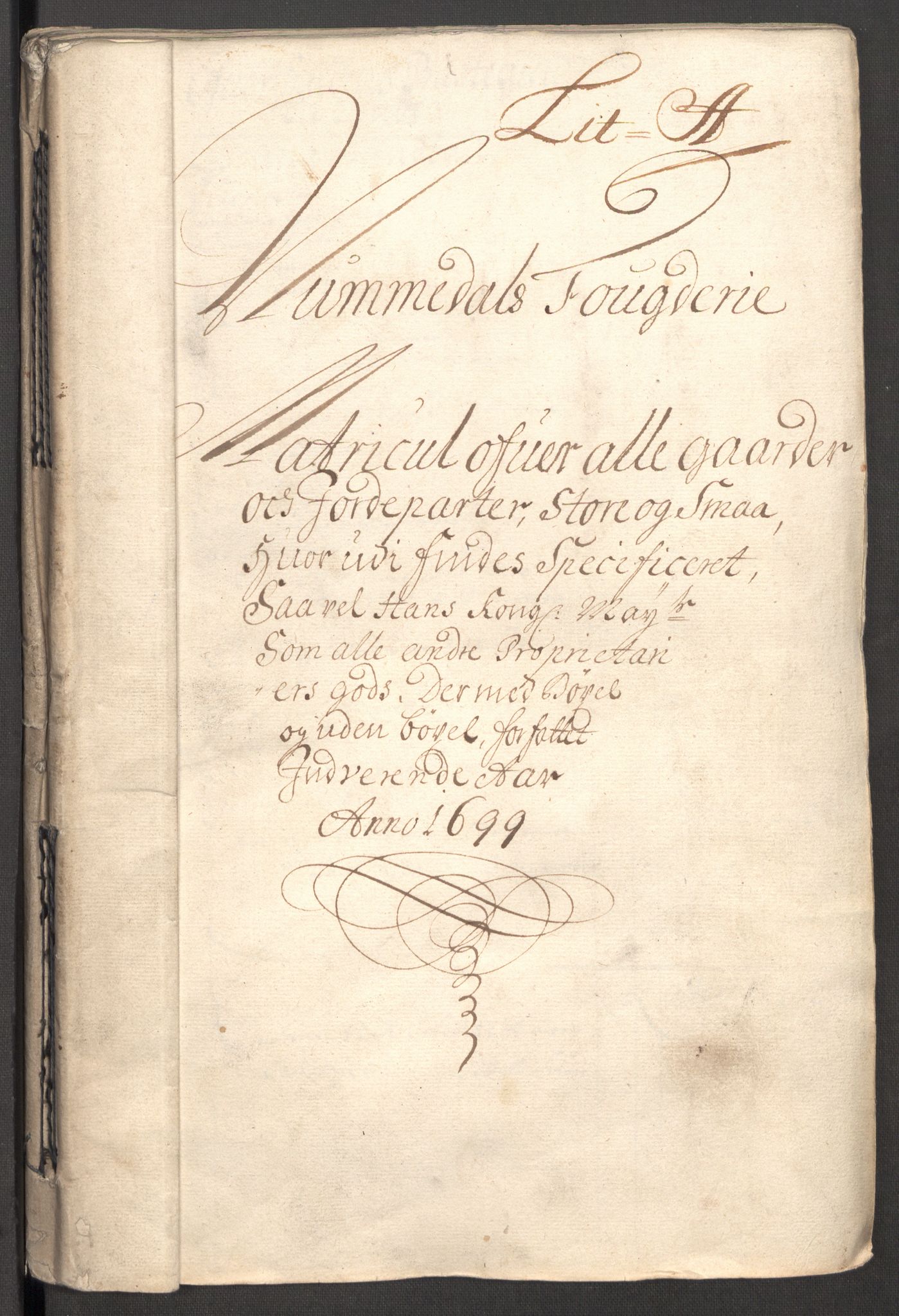 Rentekammeret inntil 1814, Reviderte regnskaper, Fogderegnskap, AV/RA-EA-4092/R64/L4426: Fogderegnskap Namdal, 1699-1700, p. 25