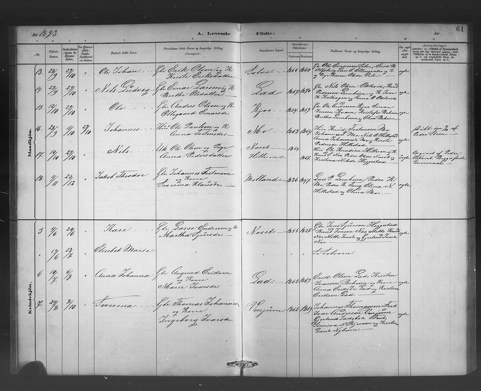 Hafslo sokneprestembete, AV/SAB-A-80301/H/Hab/Habb/L0001: Parish register (copy) no. B 1, 1882-1908, p. 61