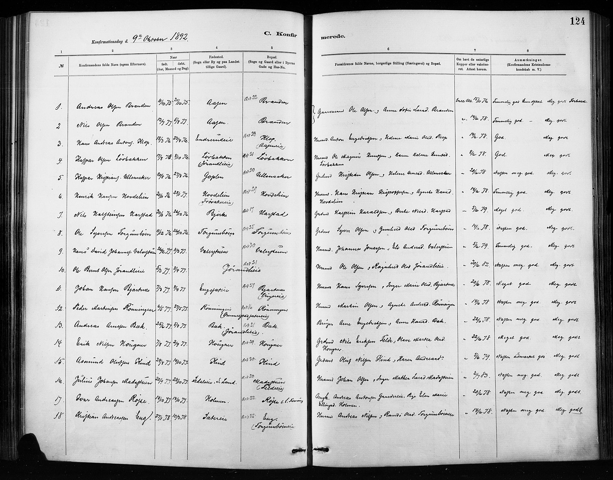 Nordre Land prestekontor, SAH/PREST-124/H/Ha/Haa/L0004: Parish register (official) no. 4, 1882-1896, p. 124