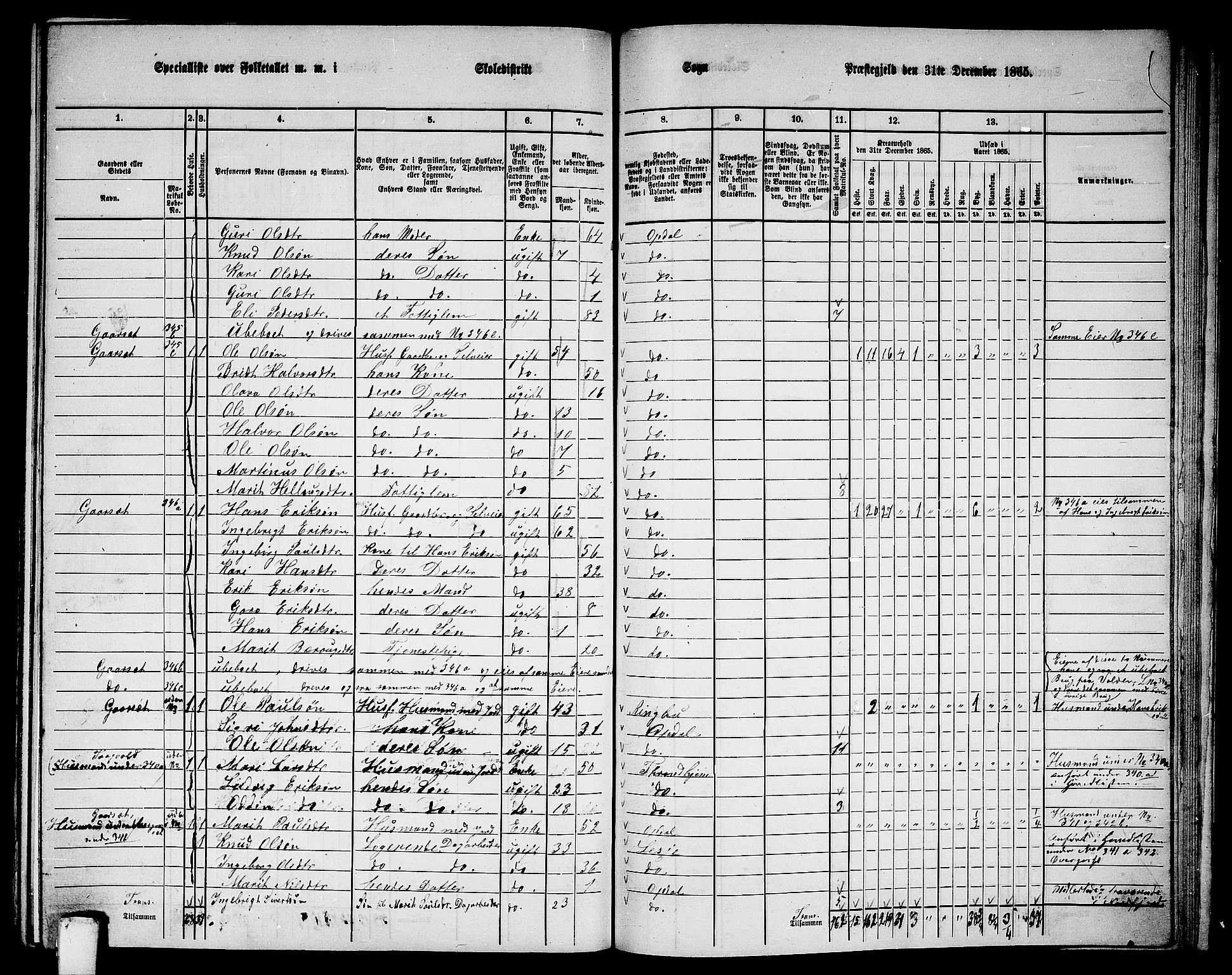 RA, 1865 census for Oppdal, 1865, p. 174