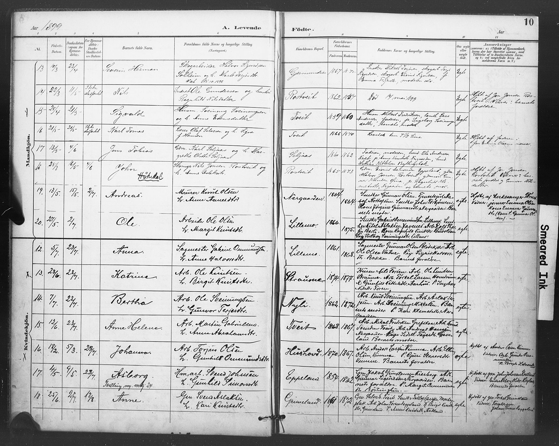 Åmli sokneprestkontor, SAK/1111-0050/F/Fa/Fac/L0011: Parish register (official) no. A 11, 1898-1899, p. 10