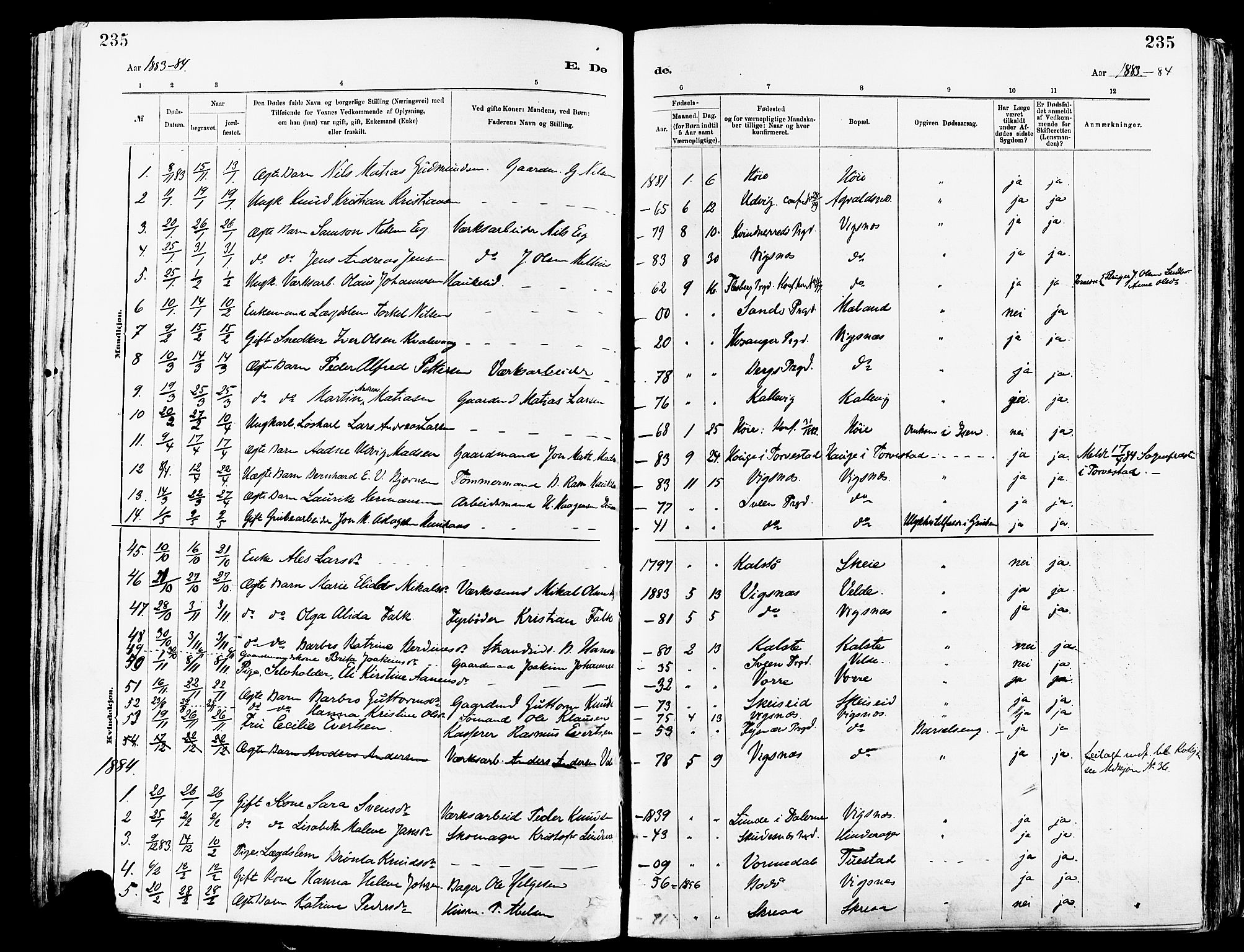 Avaldsnes sokneprestkontor, AV/SAST-A -101851/H/Ha/Haa/L0015: Parish register (official) no. A 15, 1880-1906, p. 235