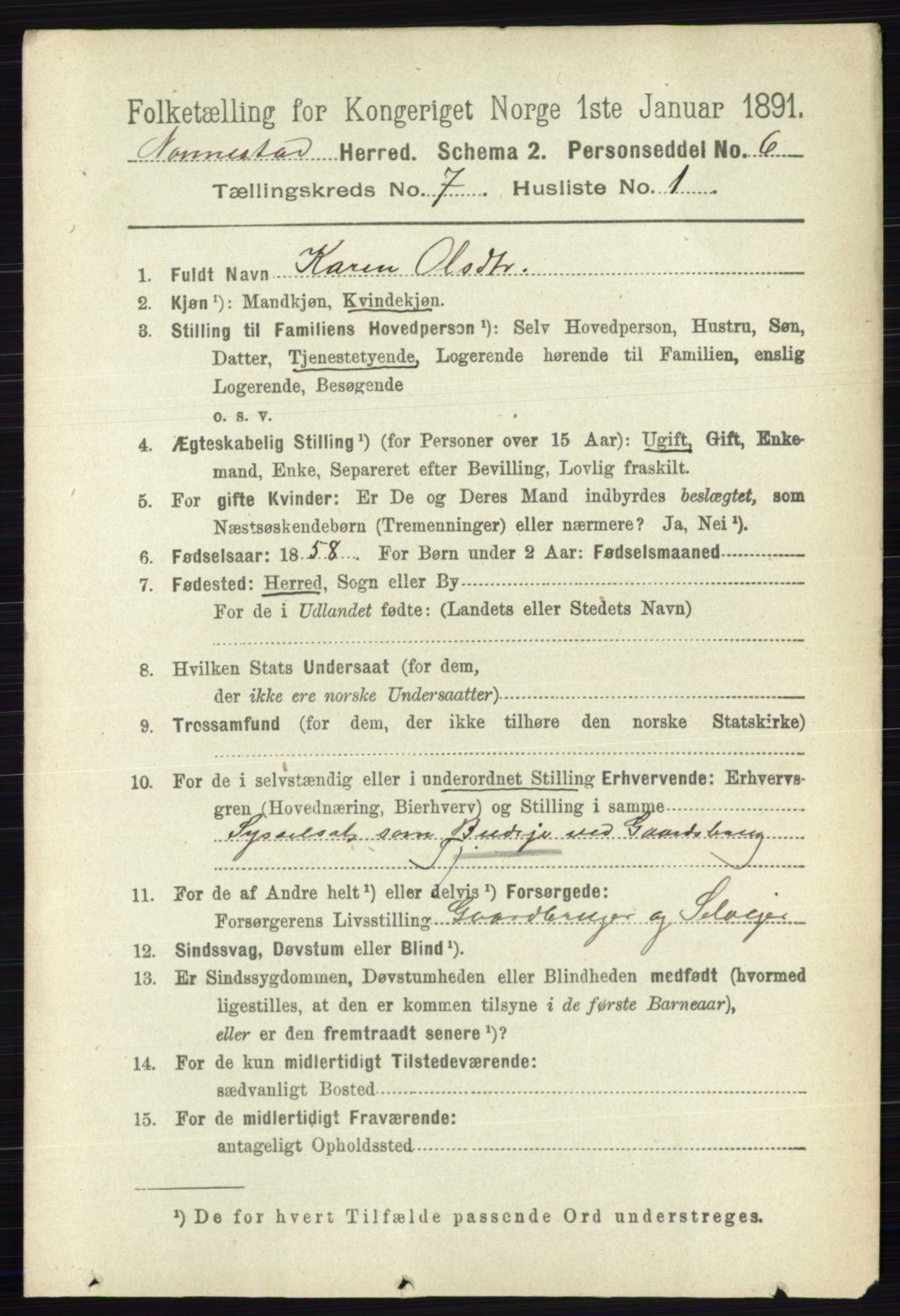 RA, 1891 census for 0238 Nannestad, 1891, p. 3746