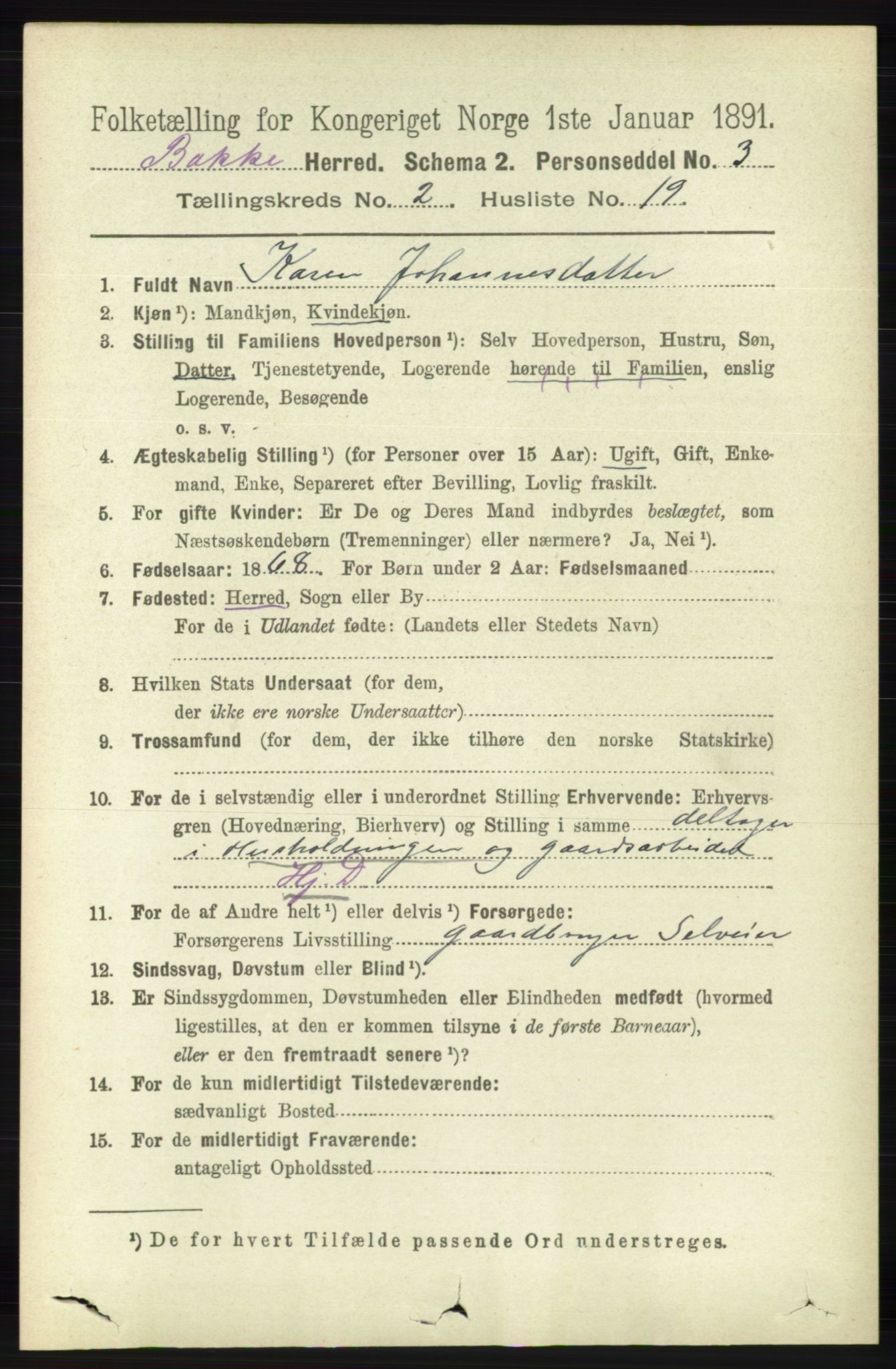 RA, 1891 census for 1045 Bakke, 1891, p. 382