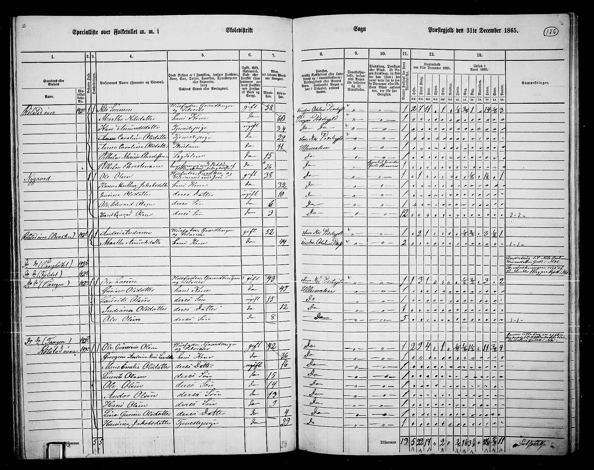 RA, 1865 census for Ullensaker, 1865, p. 119