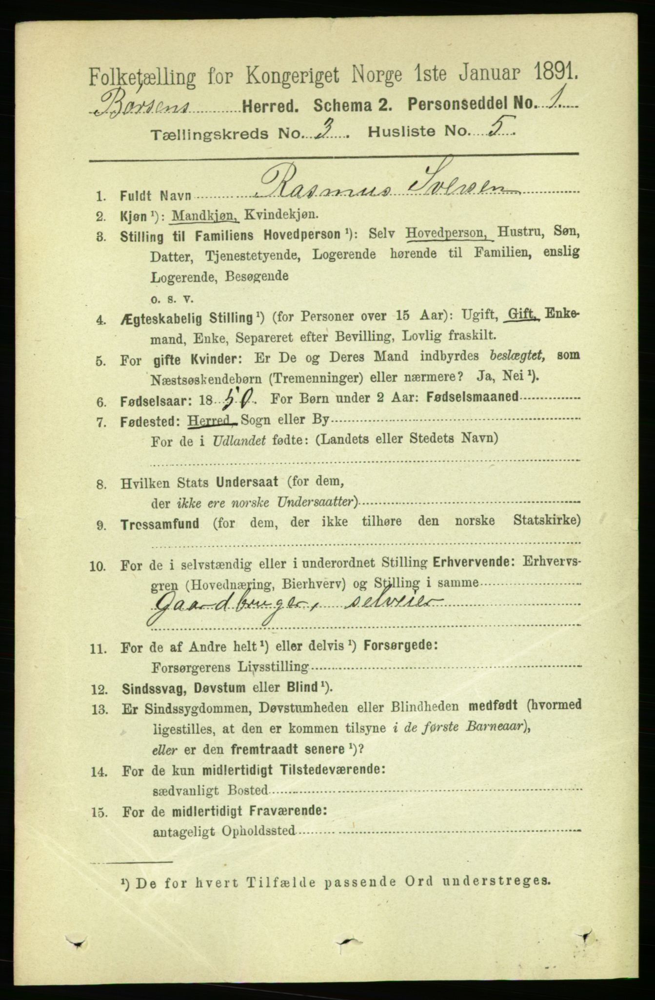 RA, 1891 census for 1658 Børsa, 1891, p. 895