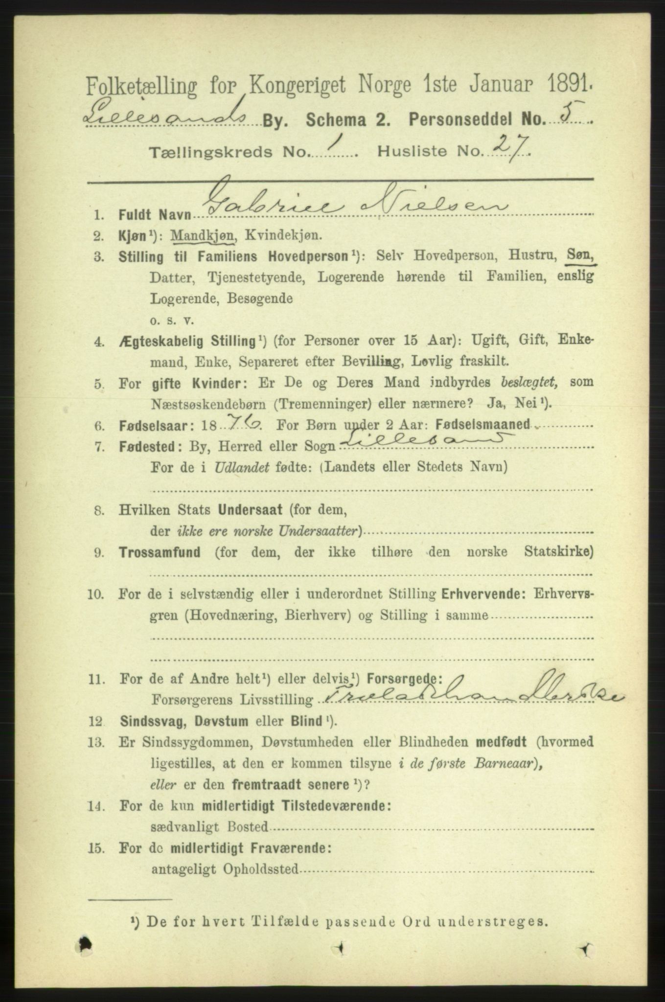 RA, 1891 census for 0905 Lillesand, 1891, p. 167