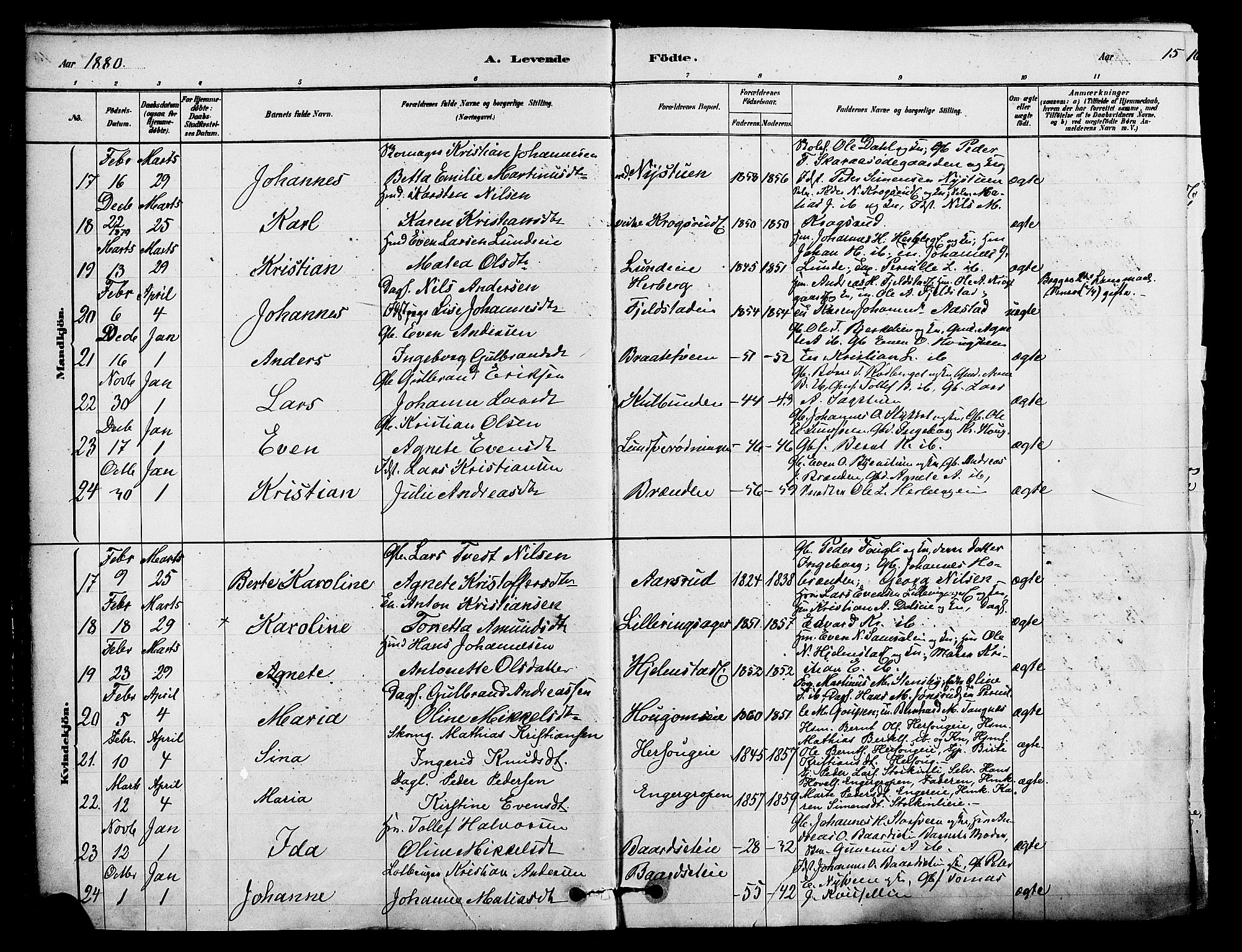 Ringsaker prestekontor, SAH/PREST-014/K/Ka/L0012: Parish register (official) no. 12, 1879-1890, p. 15