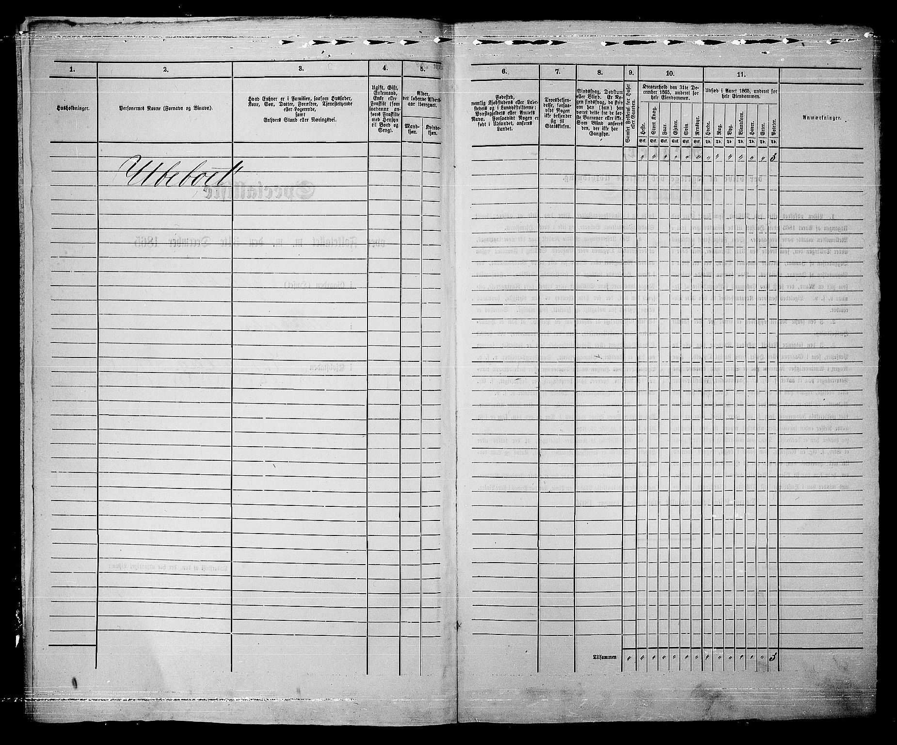 RA, 1865 census for Kongsberg/Kongsberg, 1865, p. 517