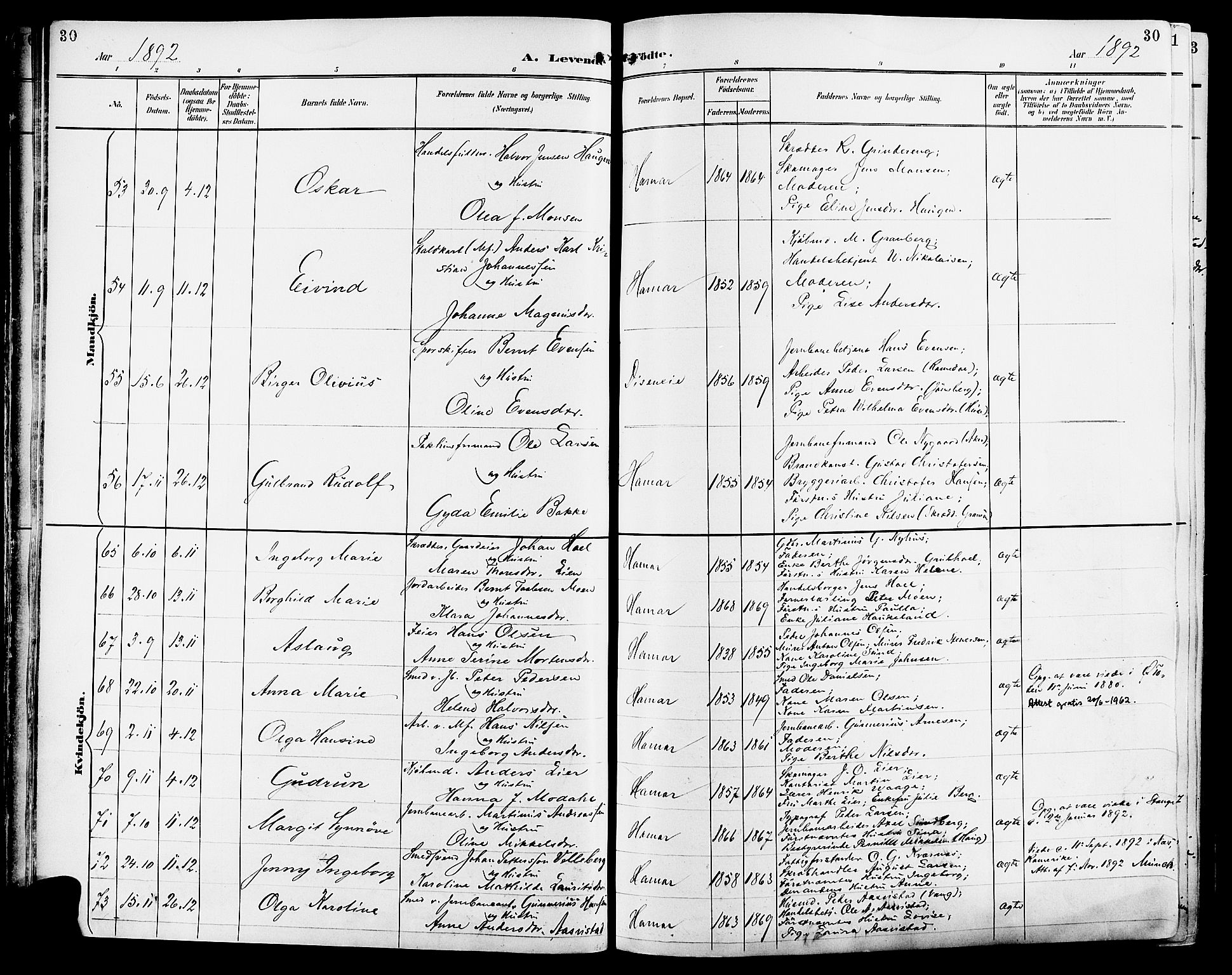 Vang prestekontor, Hedmark, SAH/PREST-008/H/Ha/Haa/L0017: Parish register (official) no. 17, 1890-1899, p. 30