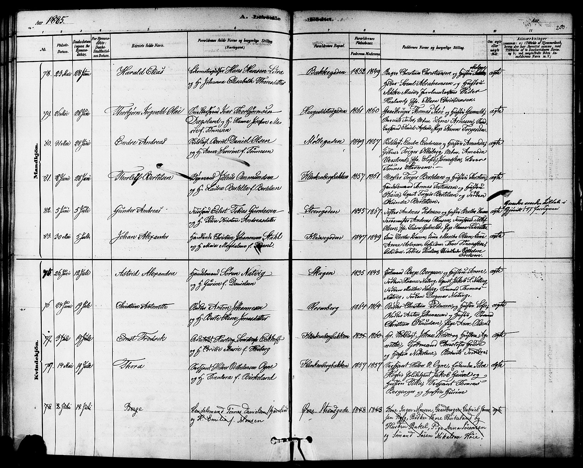 Domkirken sokneprestkontor, SAST/A-101812/001/30/30BA/L0026: Parish register (official) no. A 25, 1878-1889, p. 200