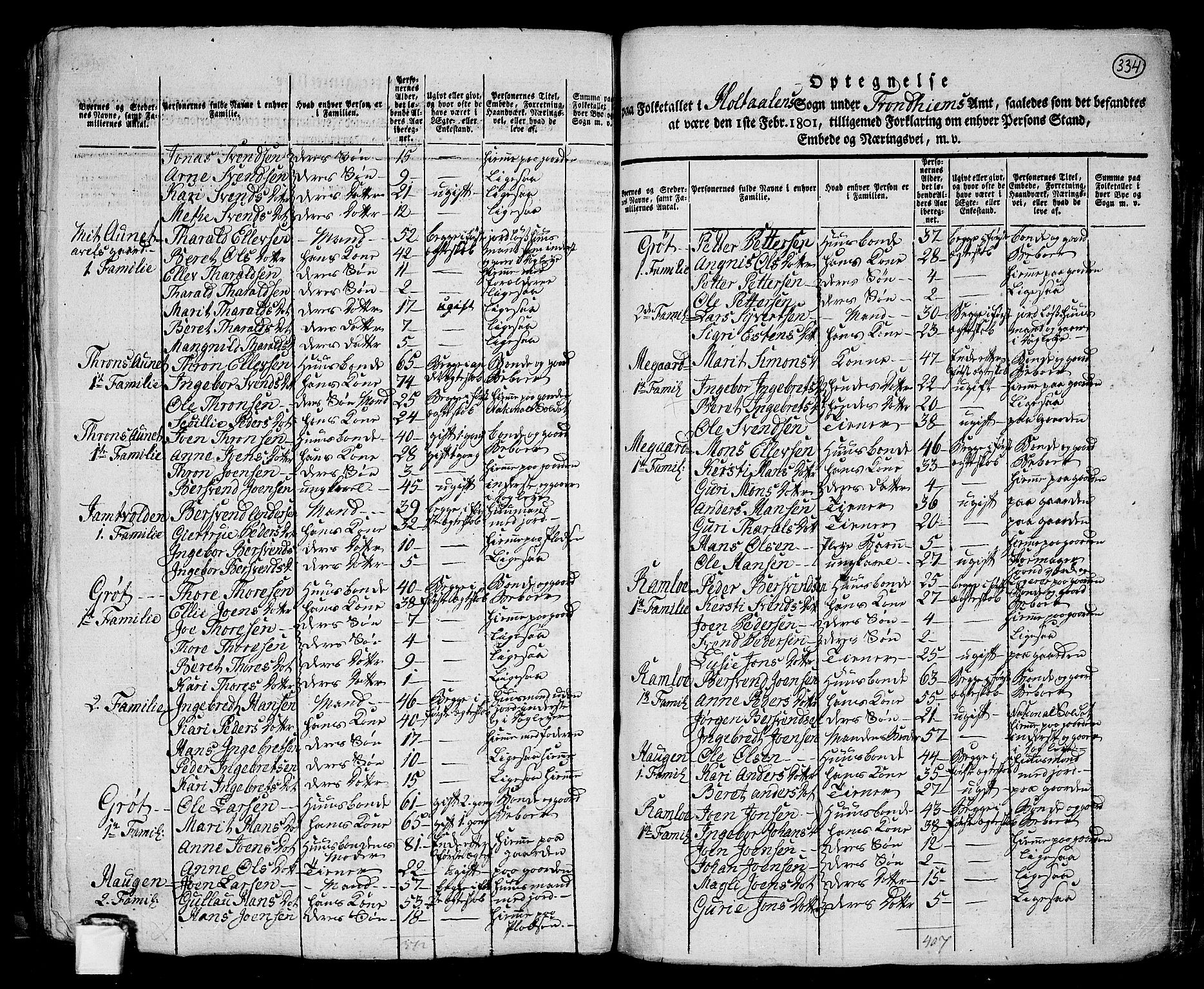 RA, 1801 census for 1645P Haltdalen, 1801, p. 333b-334a