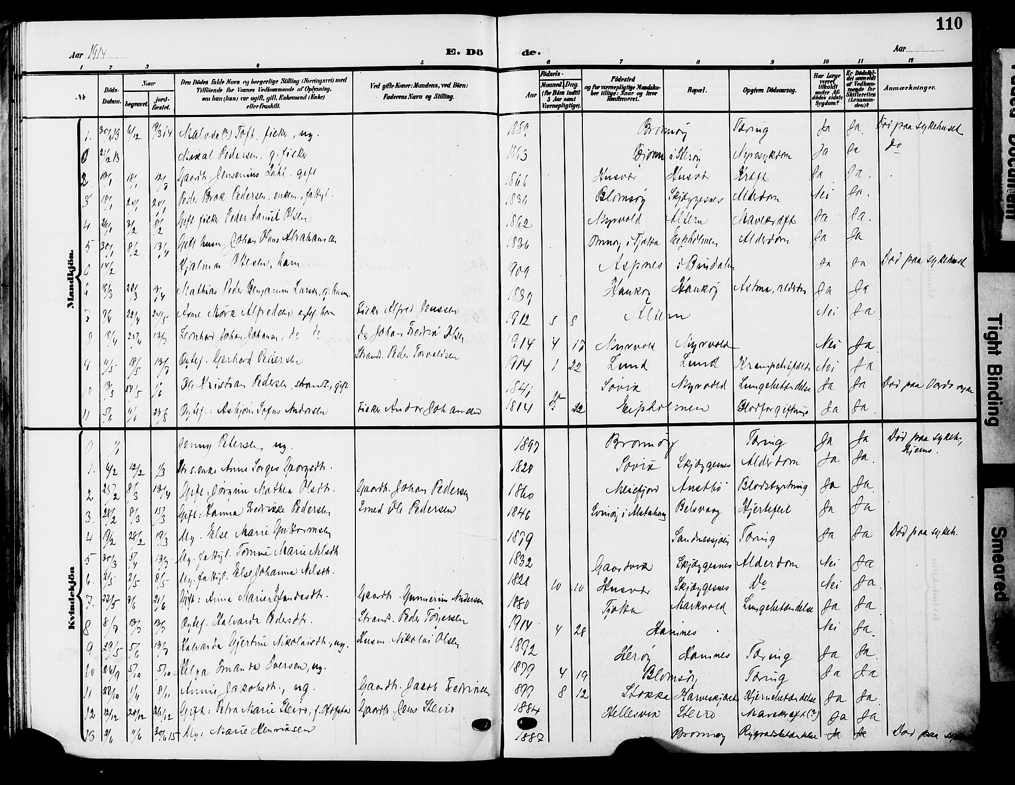 Ministerialprotokoller, klokkerbøker og fødselsregistre - Nordland, AV/SAT-A-1459/830/L0464: Parish register (copy) no. 830C06, 1906-1925, p. 110