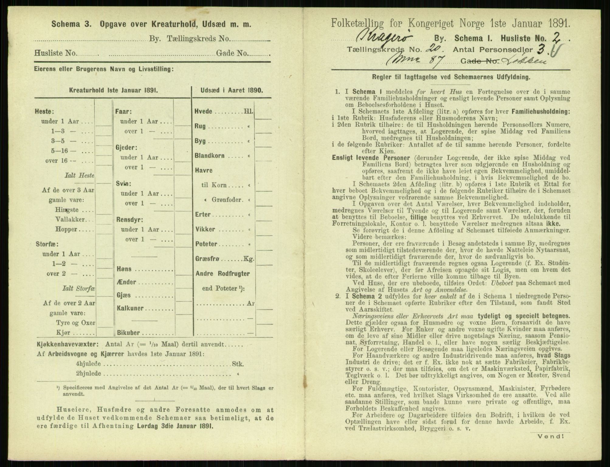 RA, 1891 census for 0801 Kragerø, 1891, p. 820