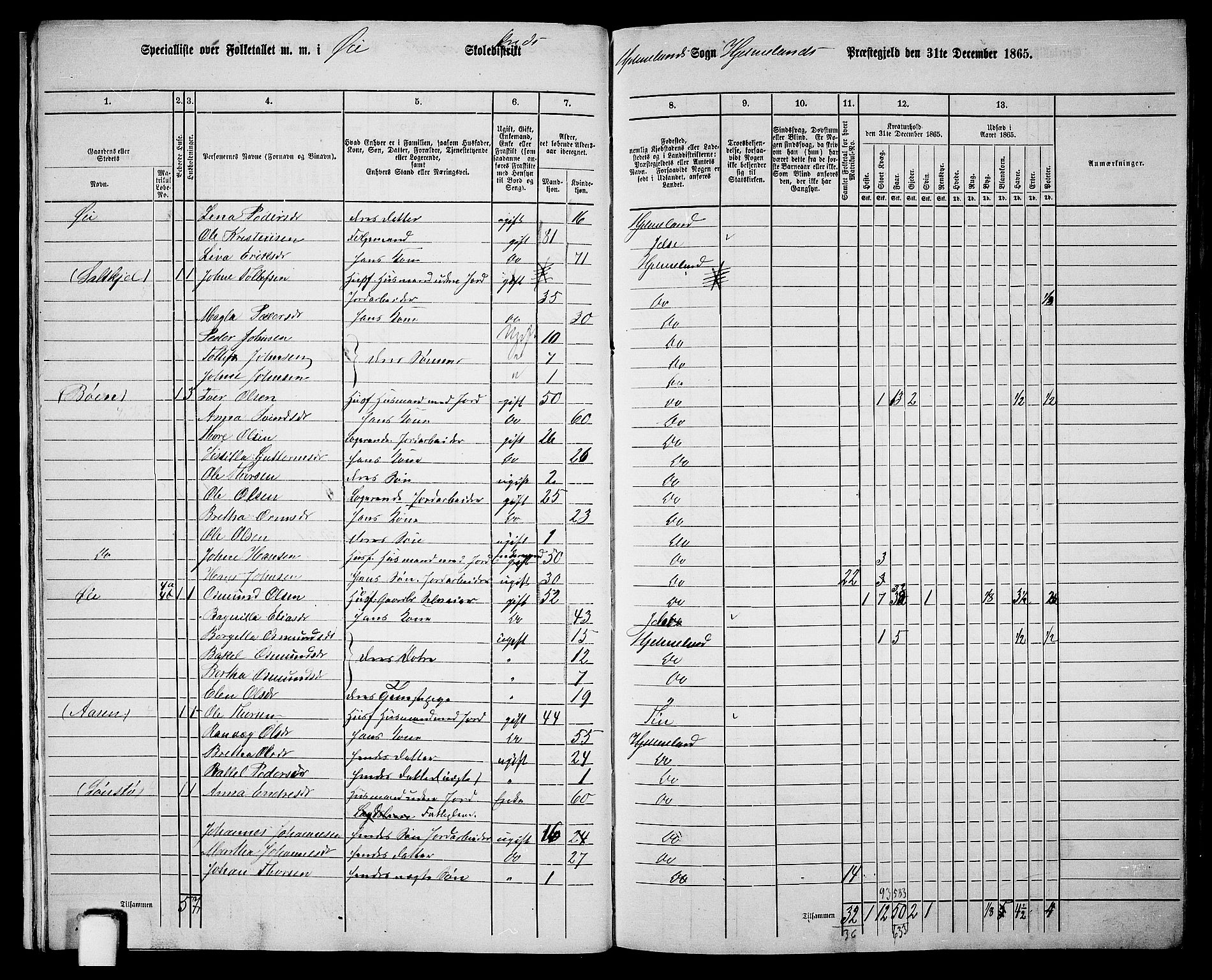 RA, 1865 census for Hjelmeland, 1865, p. 19