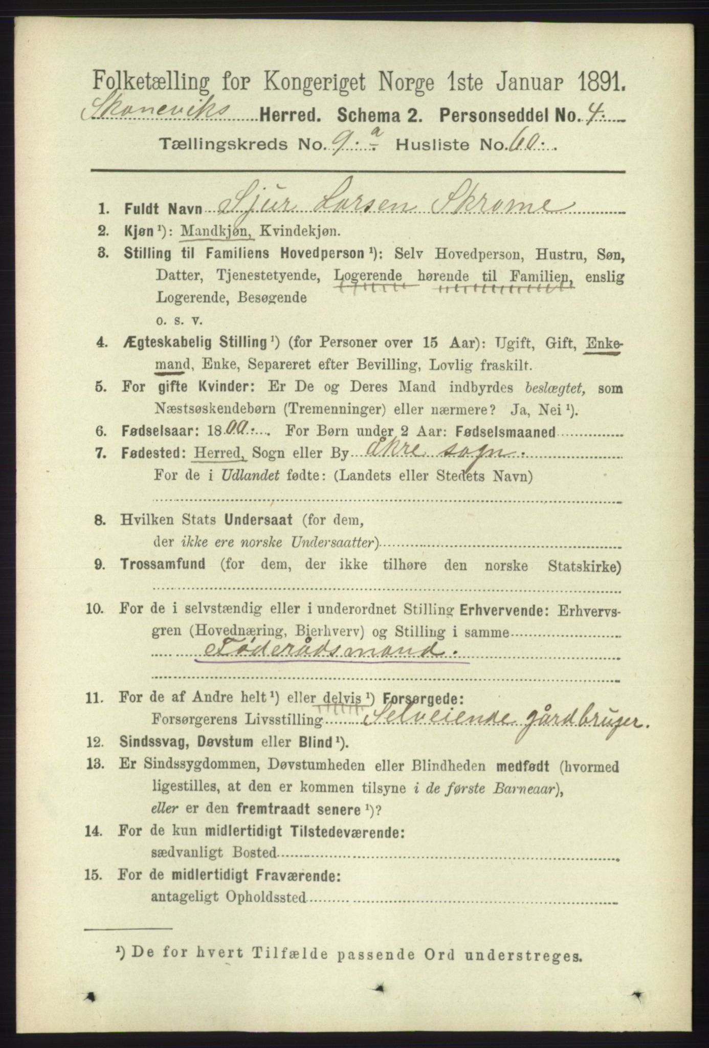 RA, 1891 census for 1212 Skånevik, 1891, p. 2849