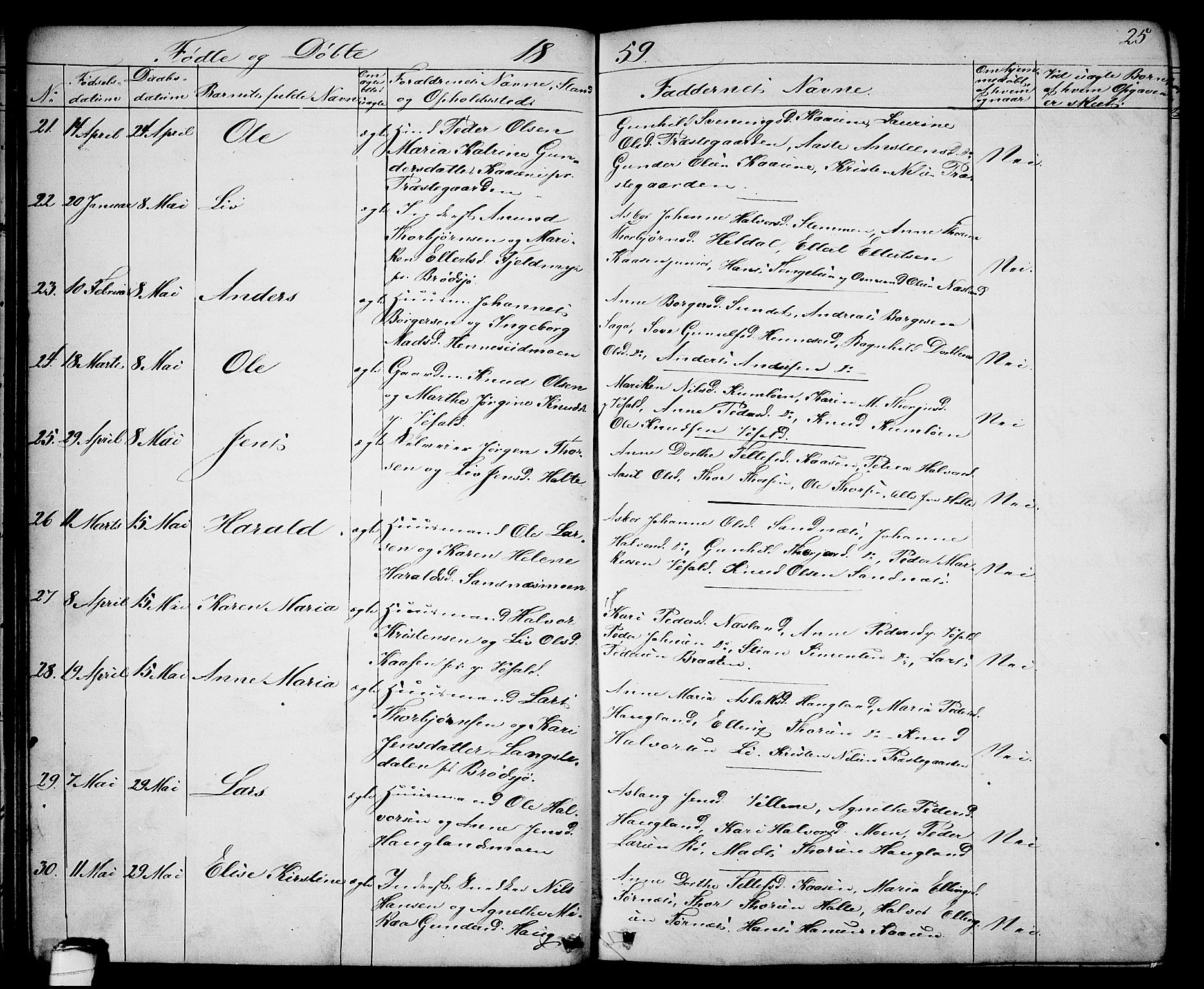 Drangedal kirkebøker, SAKO/A-258/G/Ga/L0002: Parish register (copy) no. I 2, 1856-1887, p. 25