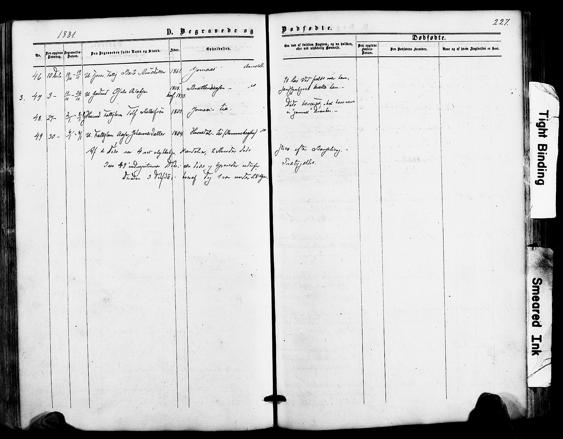 Froland sokneprestkontor, AV/SAK-1111-0013/F/Fa/L0003: Parish register (official) no. A 3, 1864-1881, p. 227