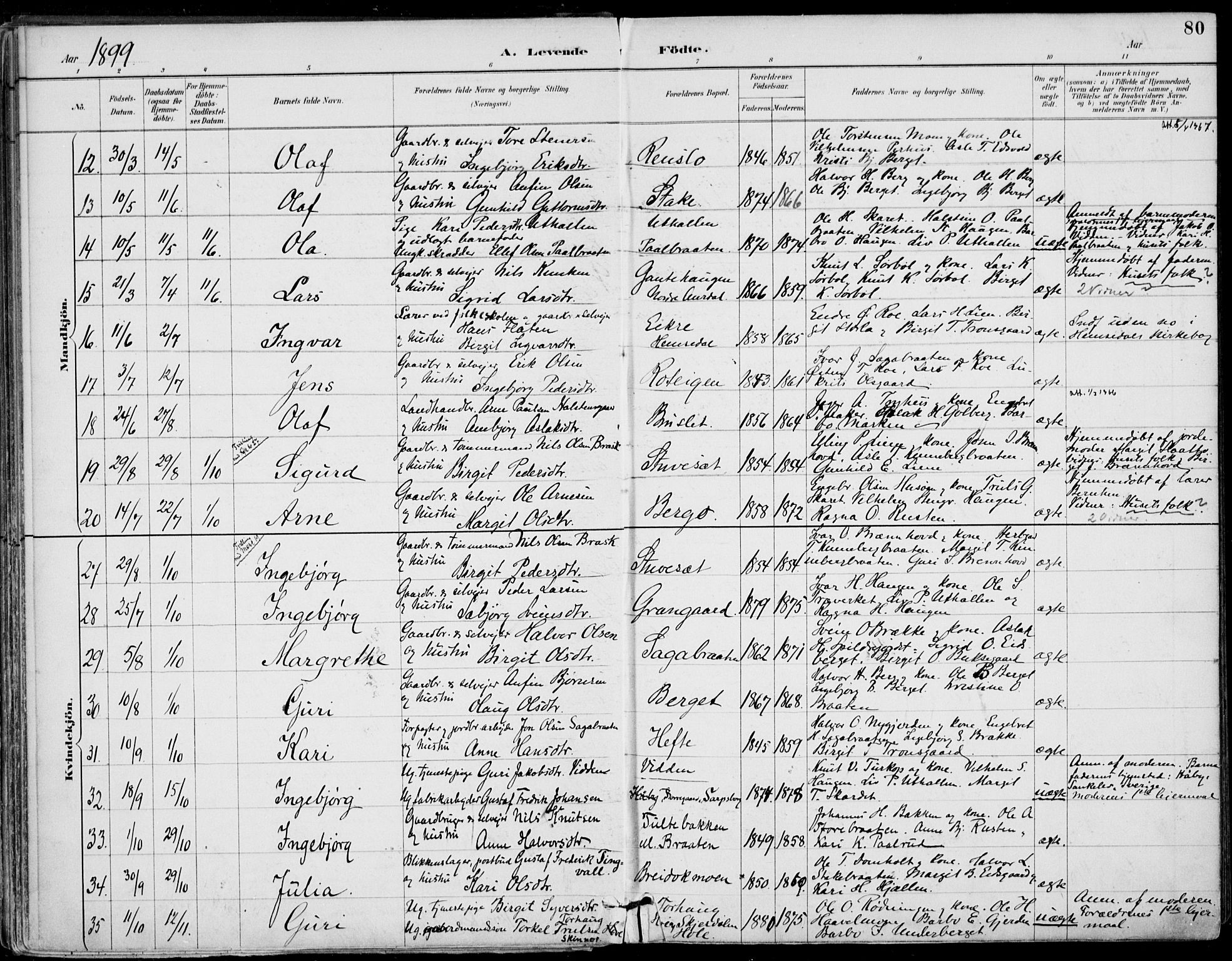 Gol kirkebøker, AV/SAKO-A-226/F/Fa/L0005: Parish register (official) no. I 5, 1887-1900, p. 80