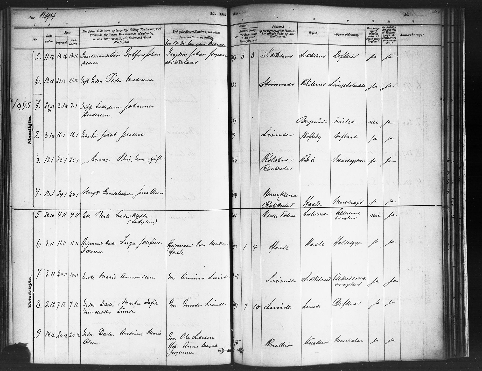 Varteig prestekontor Kirkebøker, SAO/A-10447a/F/Fa/L0002: Parish register (official) no. 2, 1878-1899, p. 224