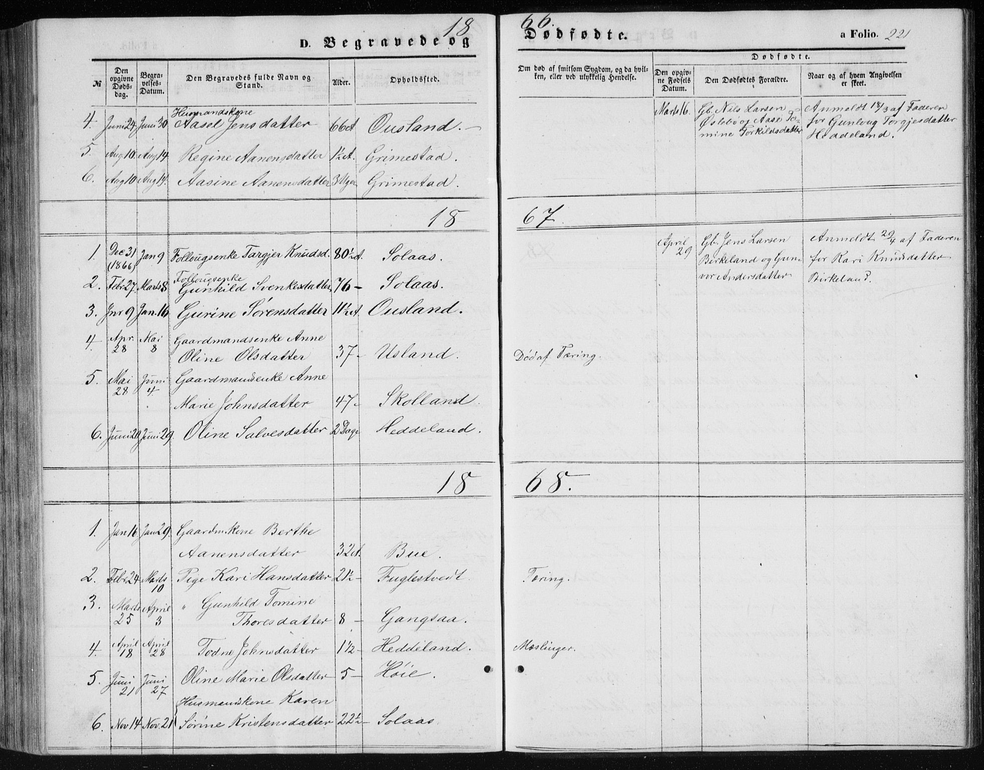 Holum sokneprestkontor, SAK/1111-0022/F/Fb/Fbc/L0002: Parish register (copy) no. B 2, 1860-1882, p. 221