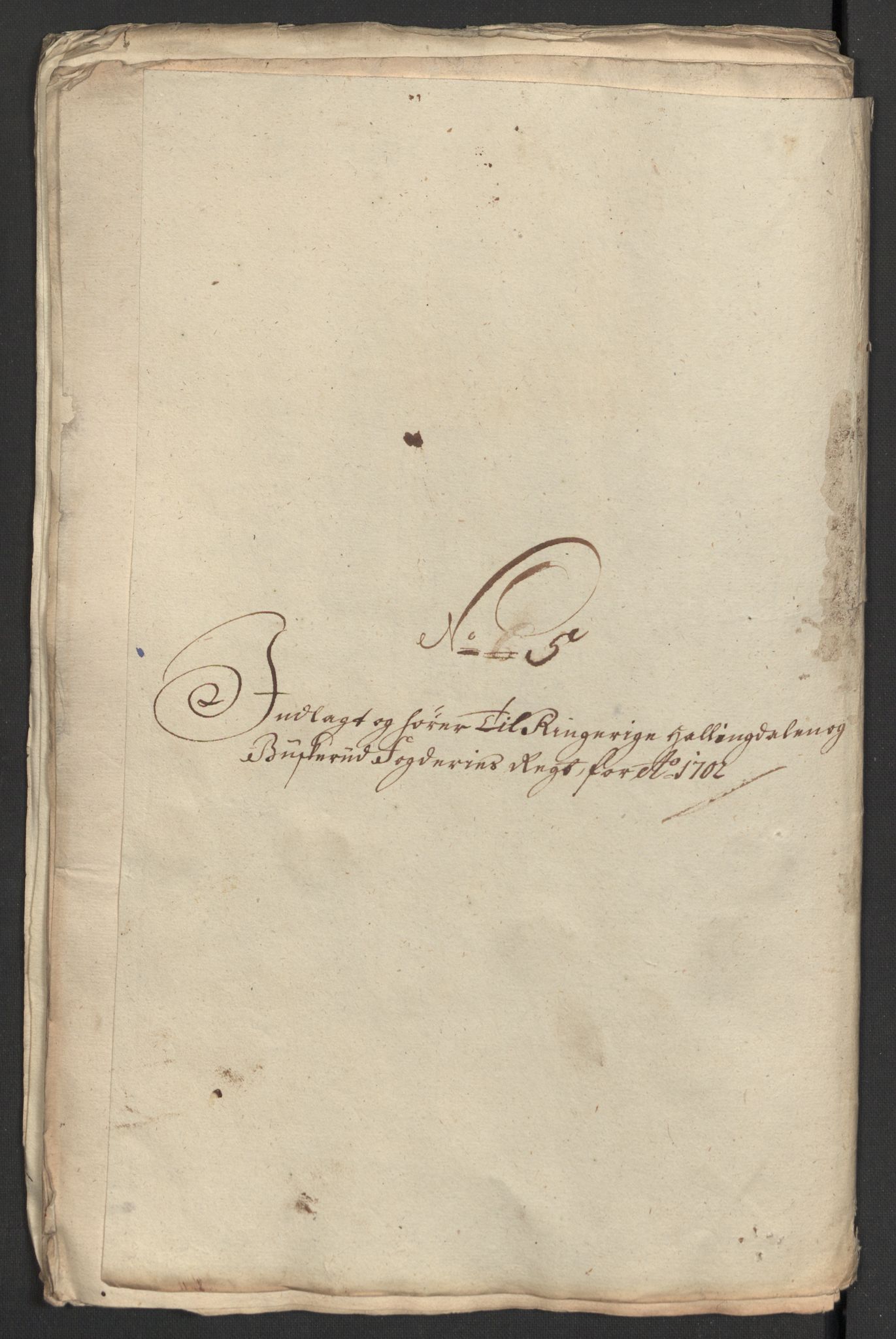 Rentekammeret inntil 1814, Reviderte regnskaper, Fogderegnskap, RA/EA-4092/R22/L1459: Fogderegnskap Ringerike, Hallingdal og Buskerud, 1702, p. 214