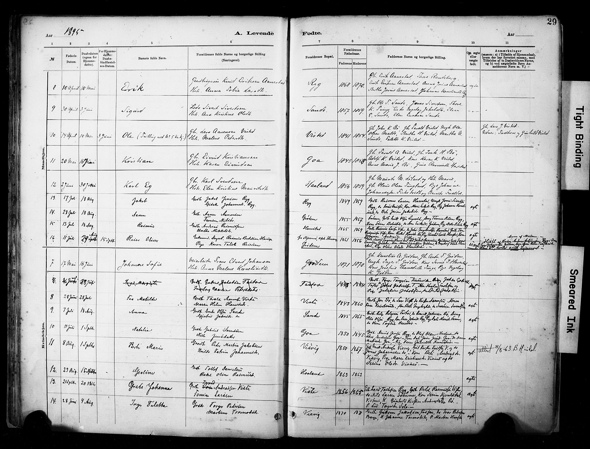 Hetland sokneprestkontor, SAST/A-101826/30/30BA/L0009: Parish register (official) no. A 9, 1882-1918, p. 29