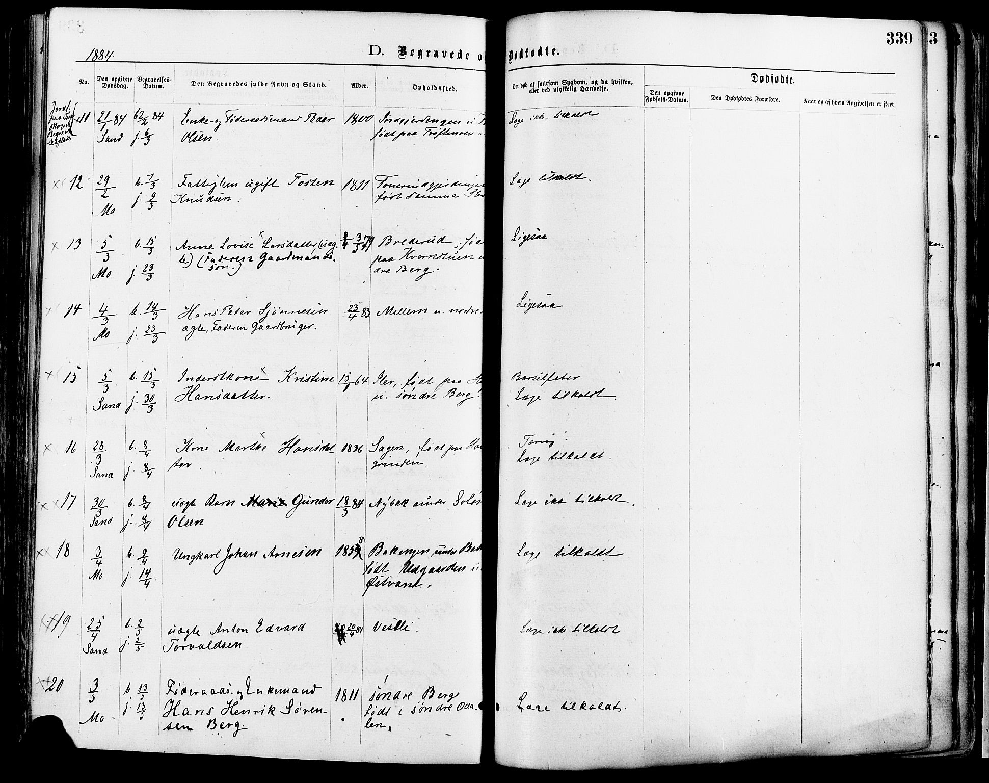 Nord-Odal prestekontor, SAH/PREST-032/H/Ha/Haa/L0005: Parish register (official) no. 5, 1874-1885, p. 339