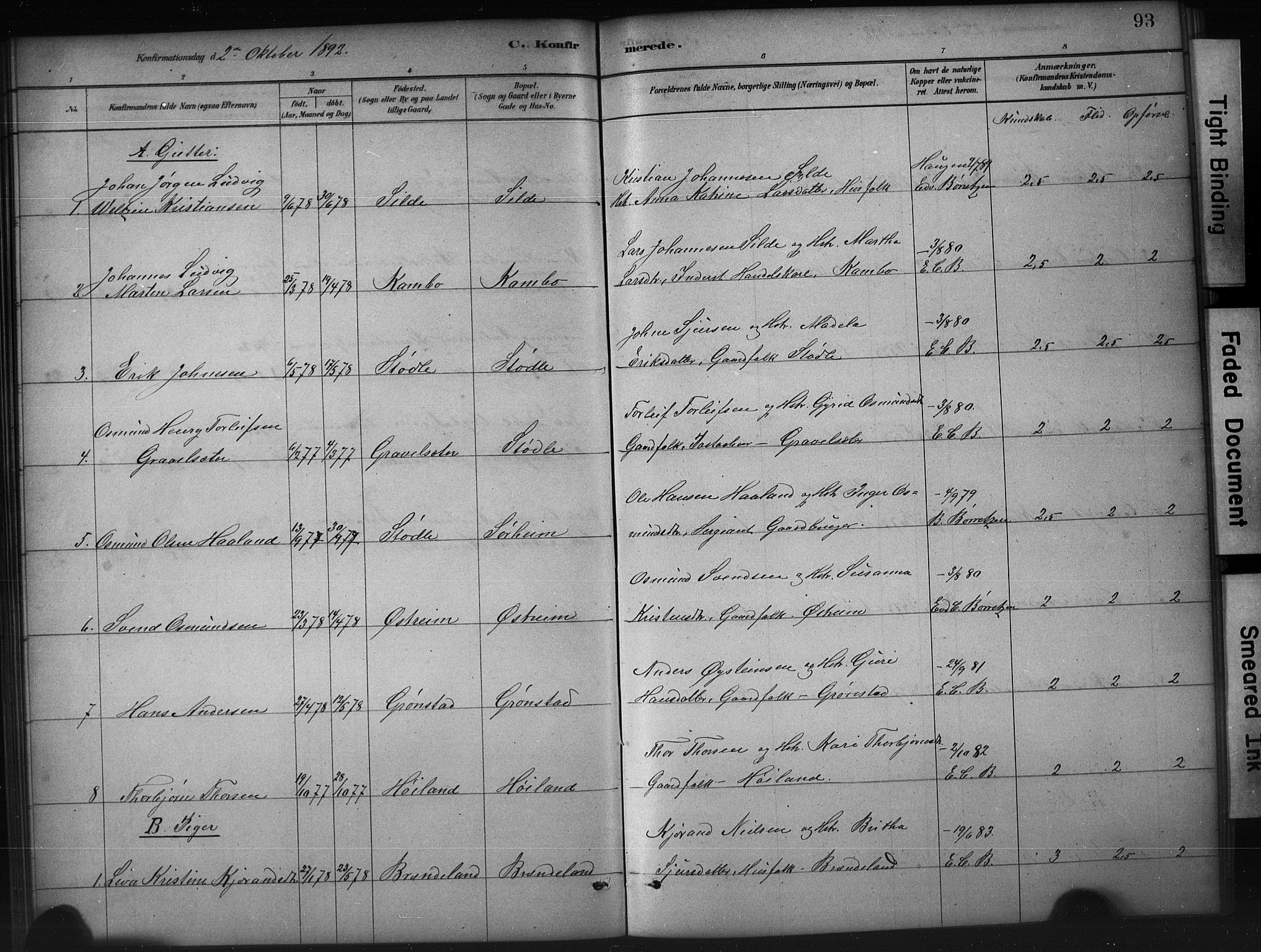 Etne sokneprestembete, SAB/A-75001/H/Hab: Parish register (copy) no. A 5, 1879-1896, p. 93